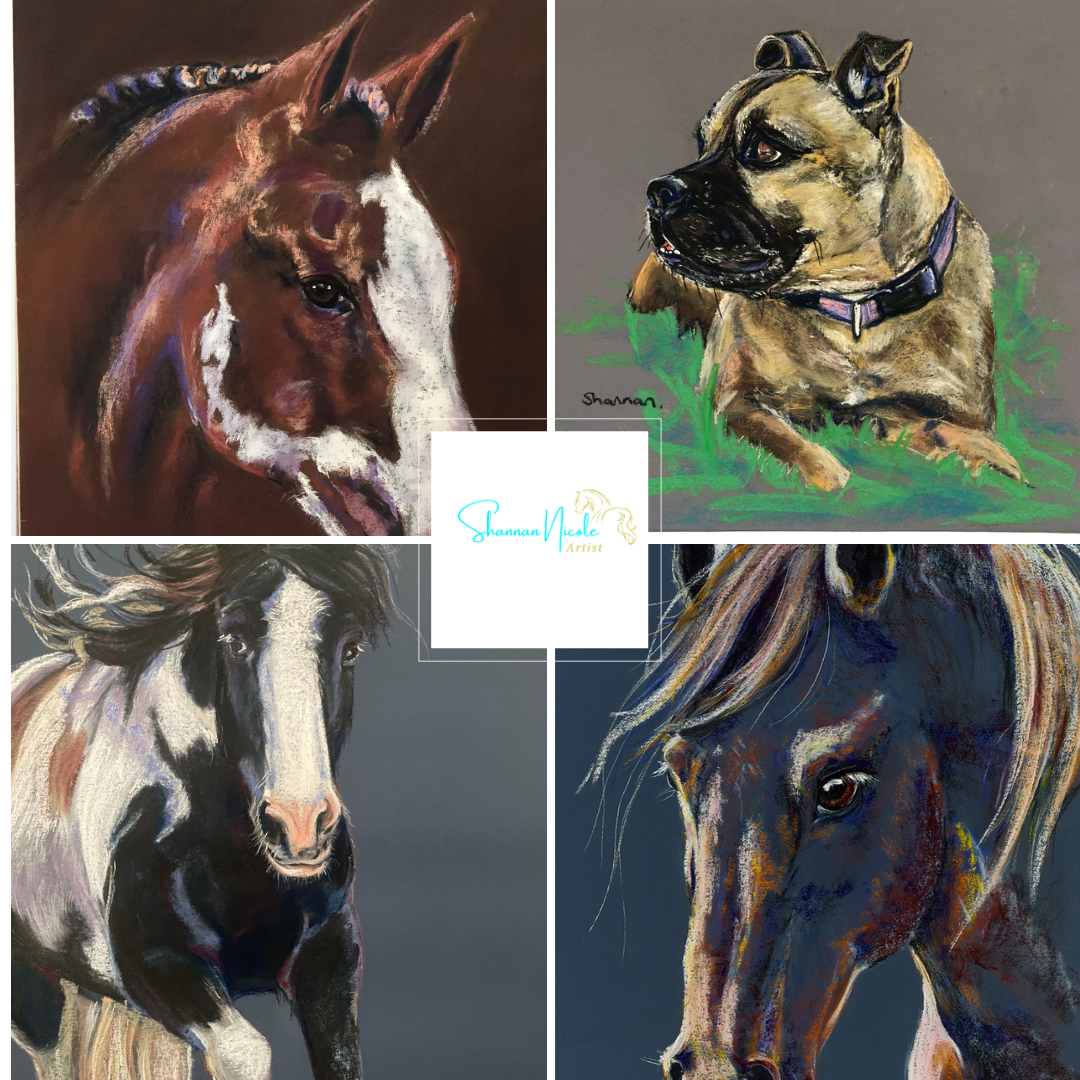 PET PORTRAITS.png