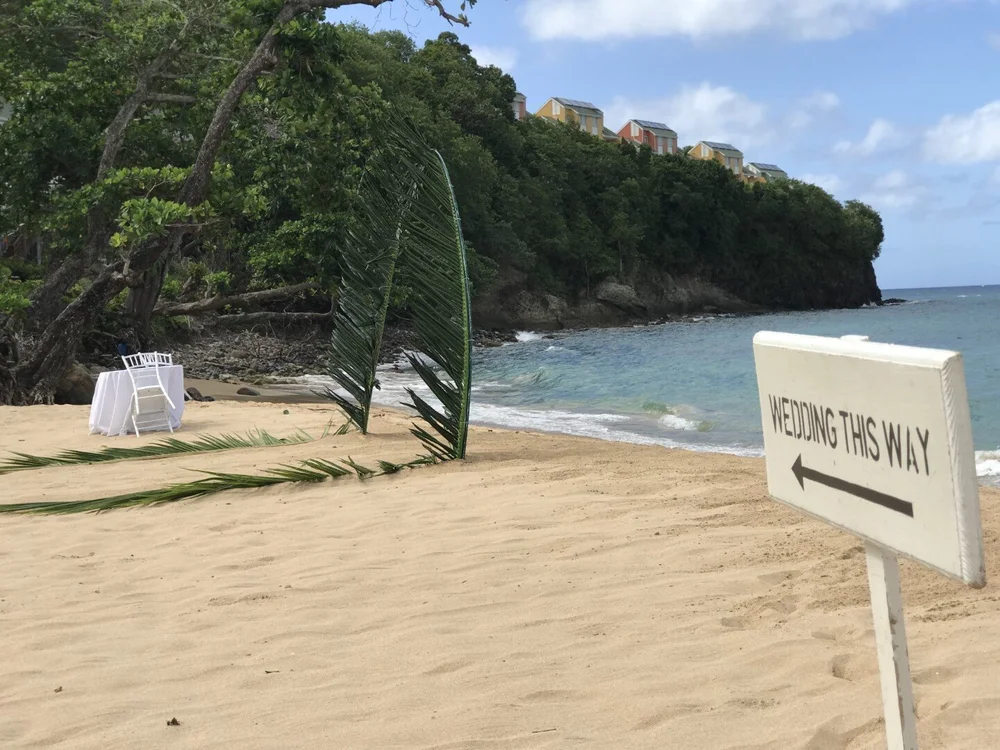 IMG_5538 (Large).jpeg