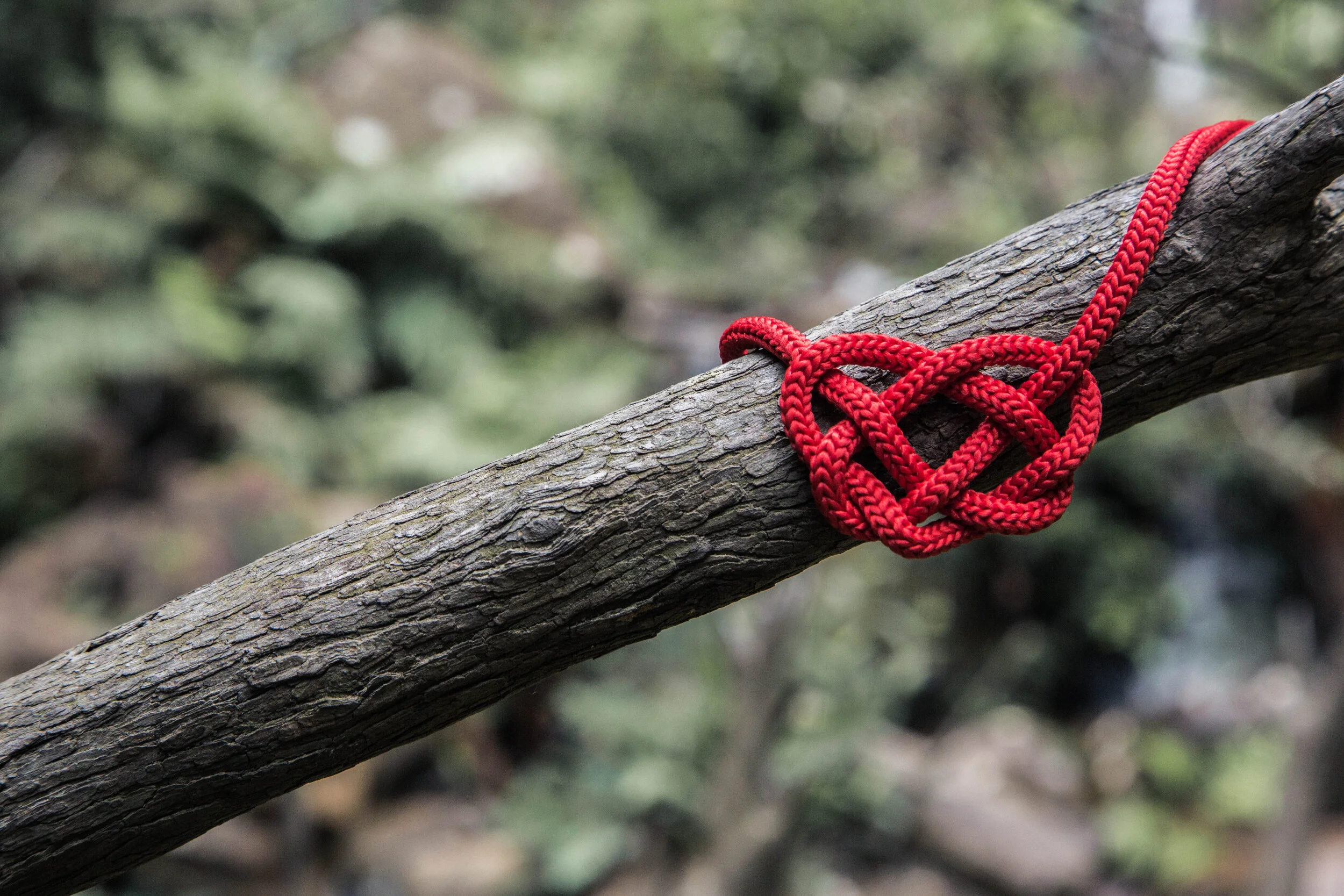 The thing I love about process improvement is...
