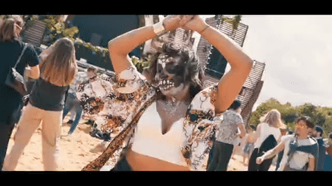 Marvellous Island Festival FRANCE 2019-low.gif