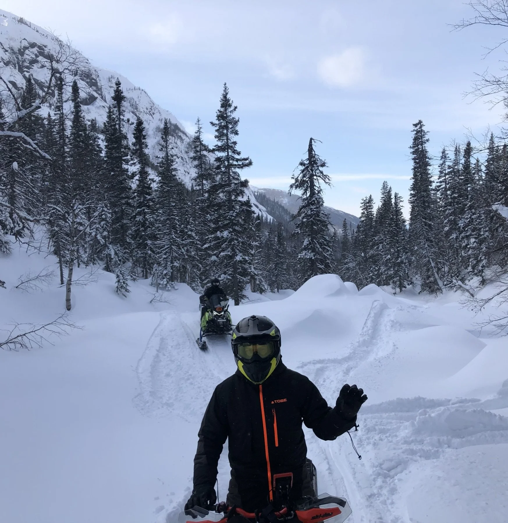 Mealy Mountains