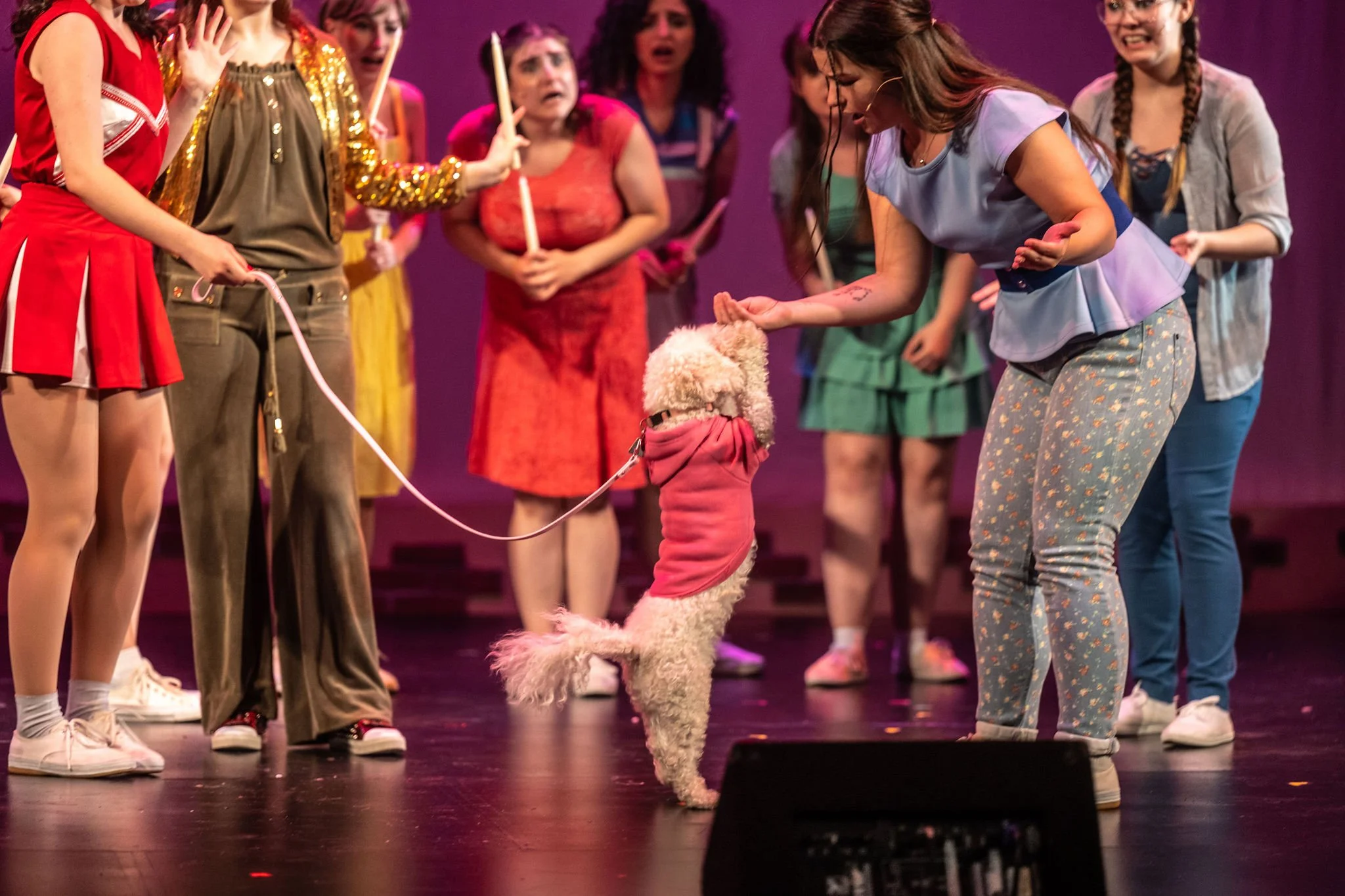 RCPALegallyBlonde-photobyDahliaKatz-4141.jpg