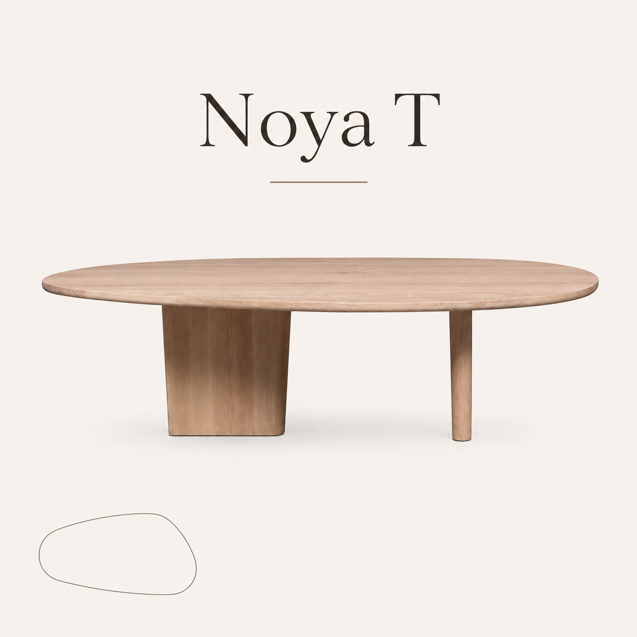 Noya T.png
