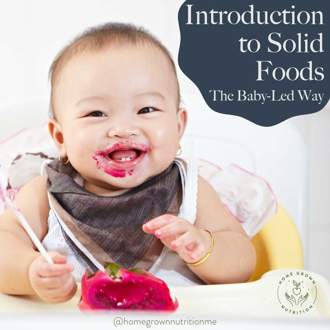 Introduction to Solid Foods (2).png