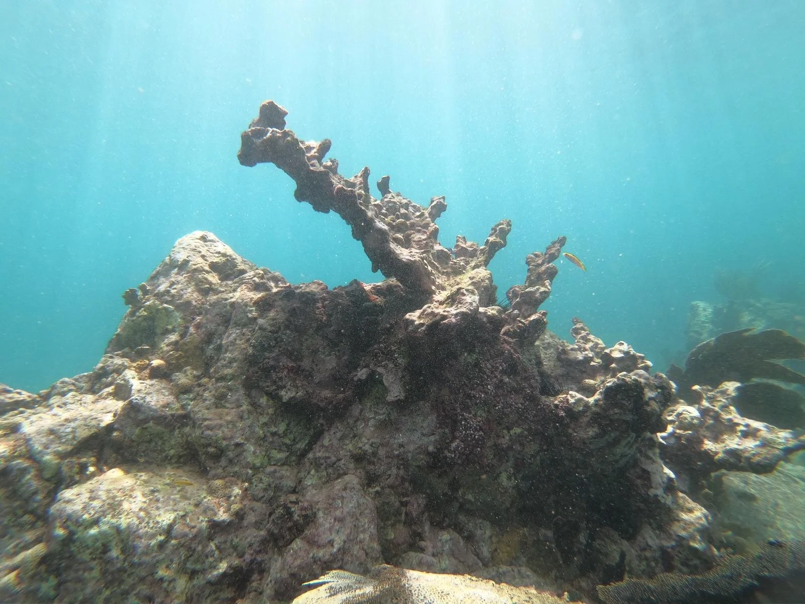 WhatsApp Image 2020-03-02 at 22.16.40 (1).jpeg