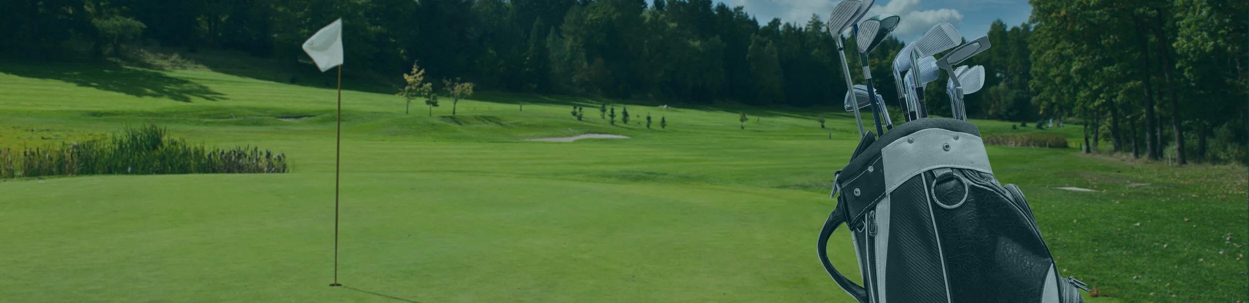 oontz angle 3 ultra carry case