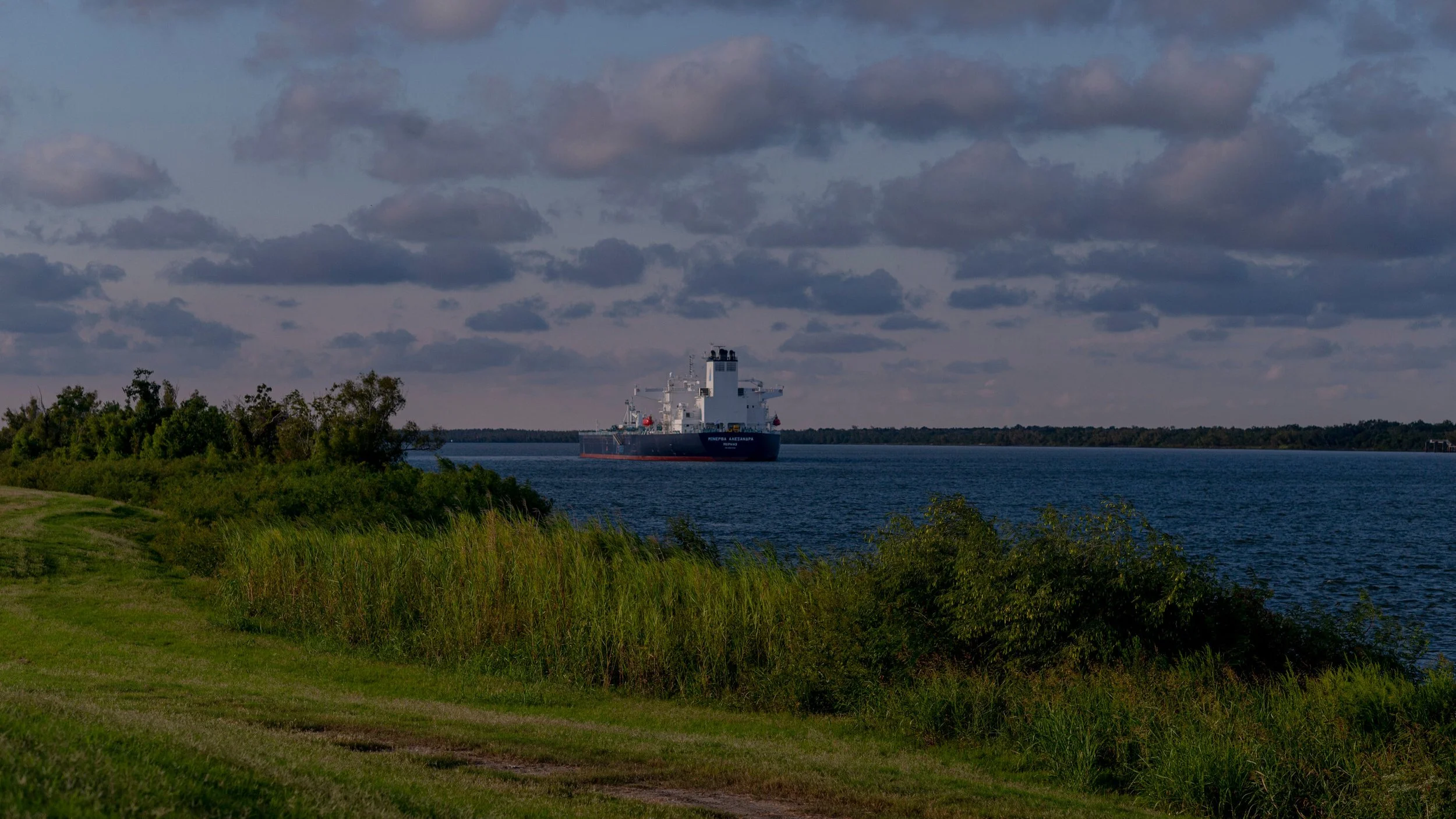Mitigating New Orleans’ Salty Water Crisis