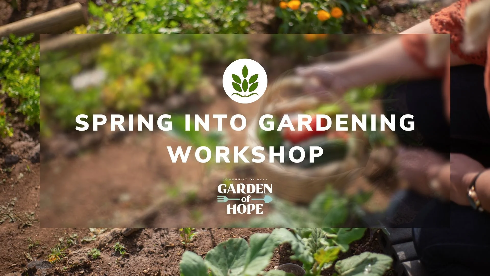 Spring into Gardening