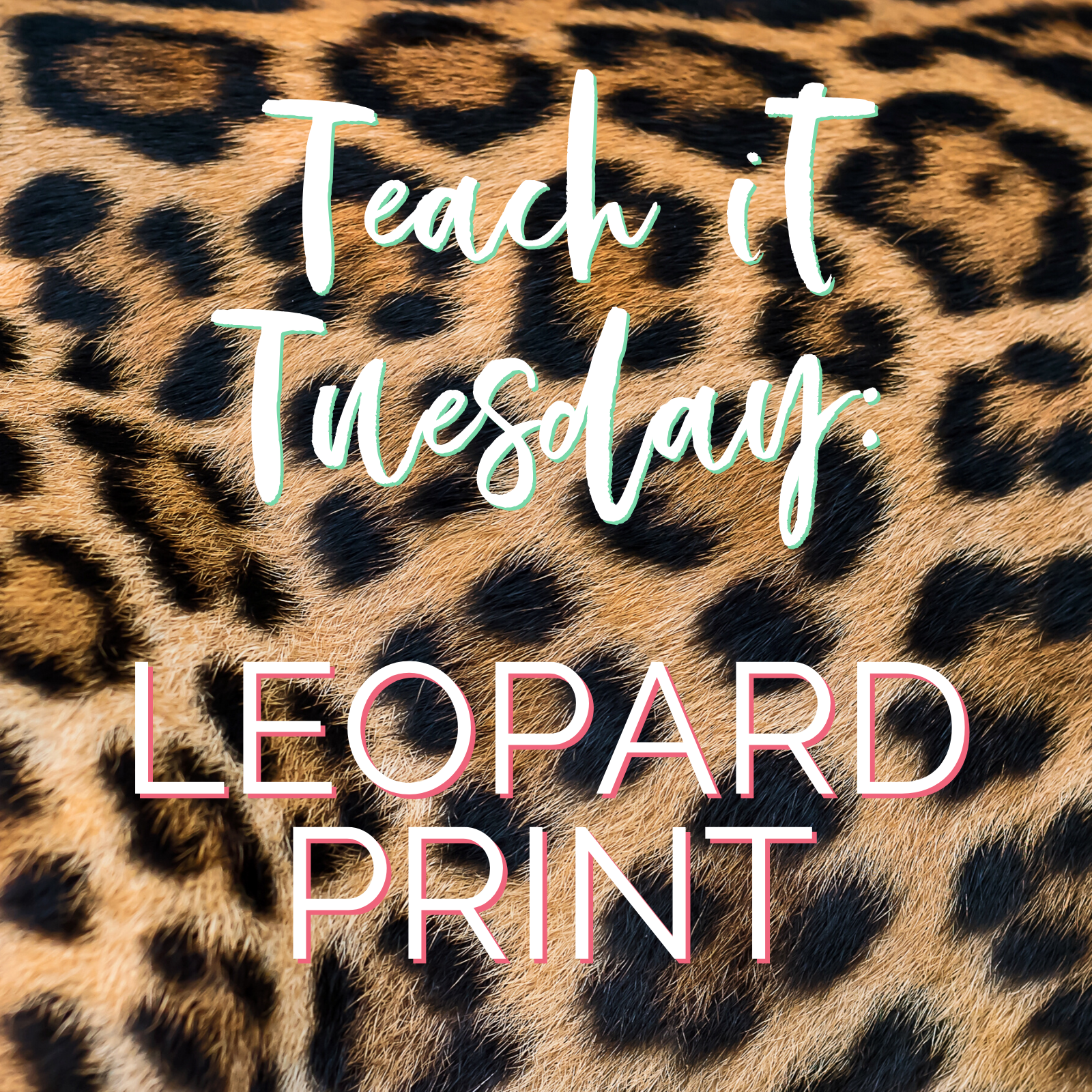 Teach It Tuesday: Leopard Print