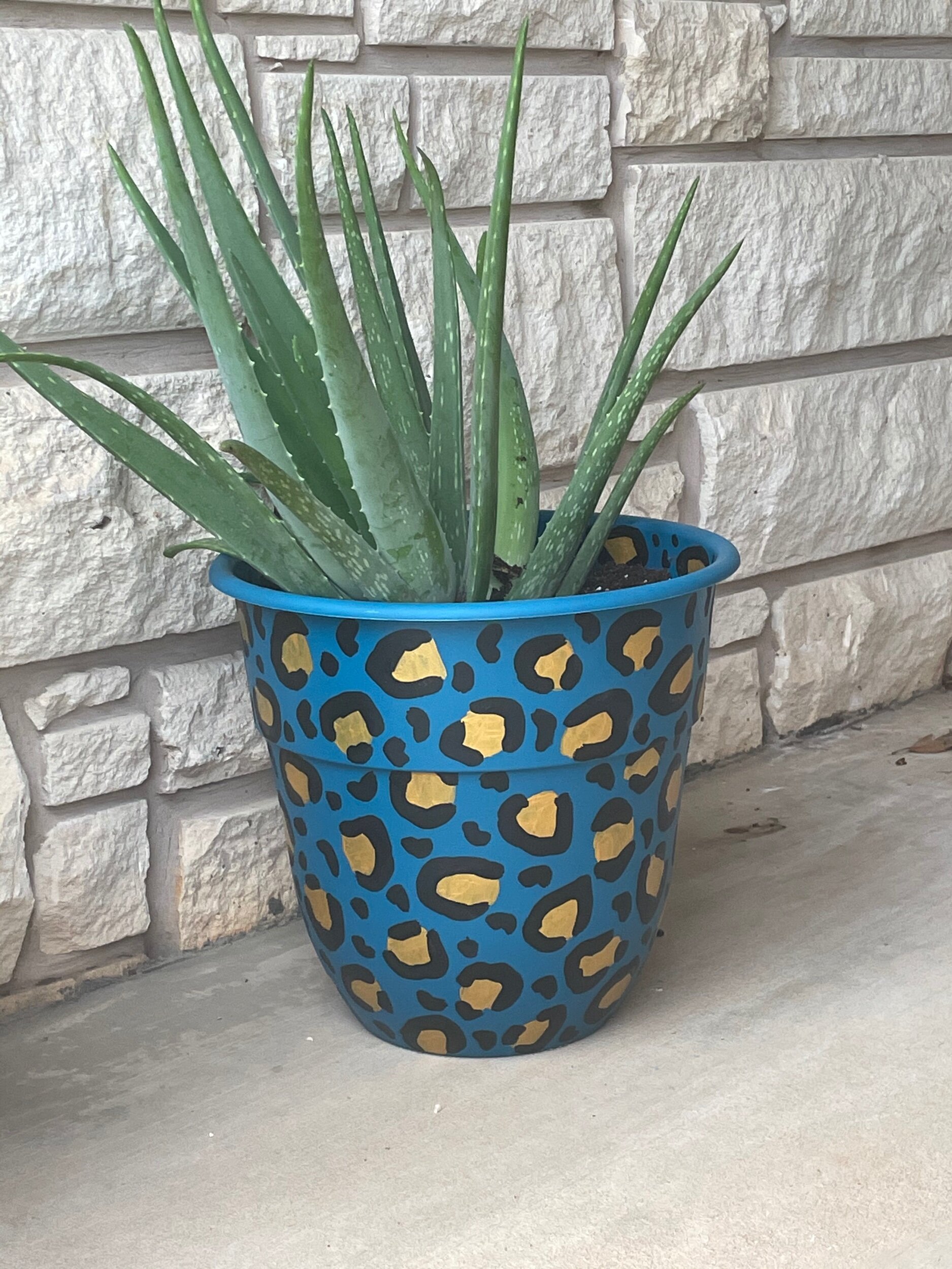 26653BBC-ED8A-4D79-884F-56CD2E56A513