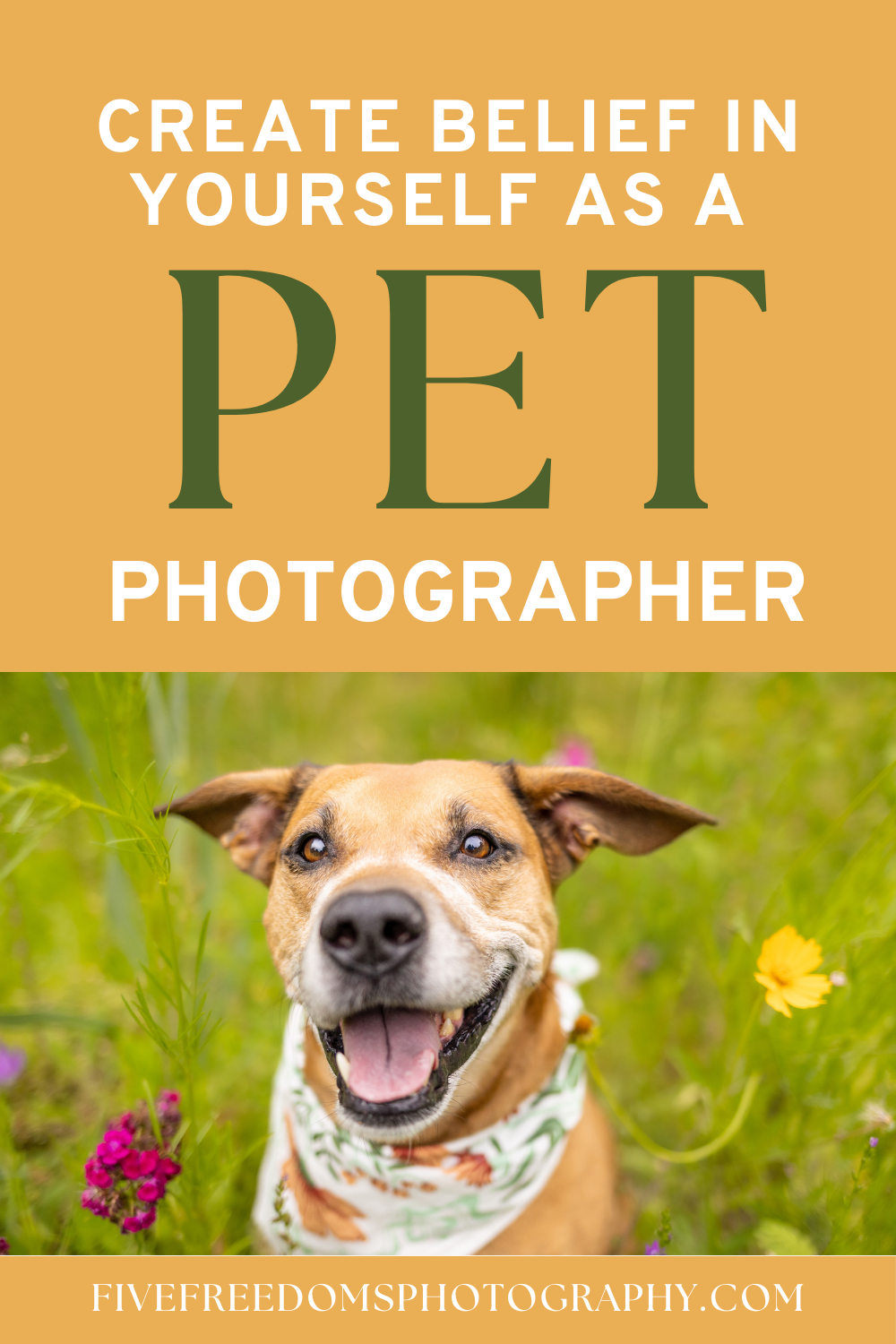 Create Belief In Yourself As A Pet Photographer 