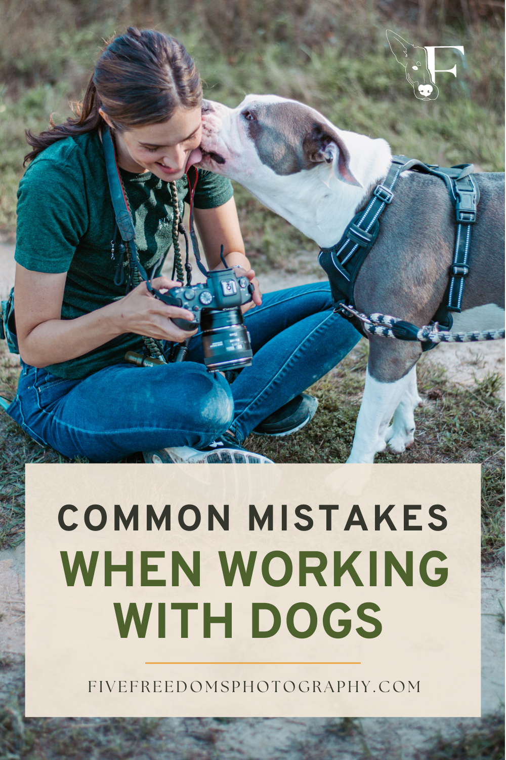 Avoid These Mistakes When Working With Dogs For A Photoshoot