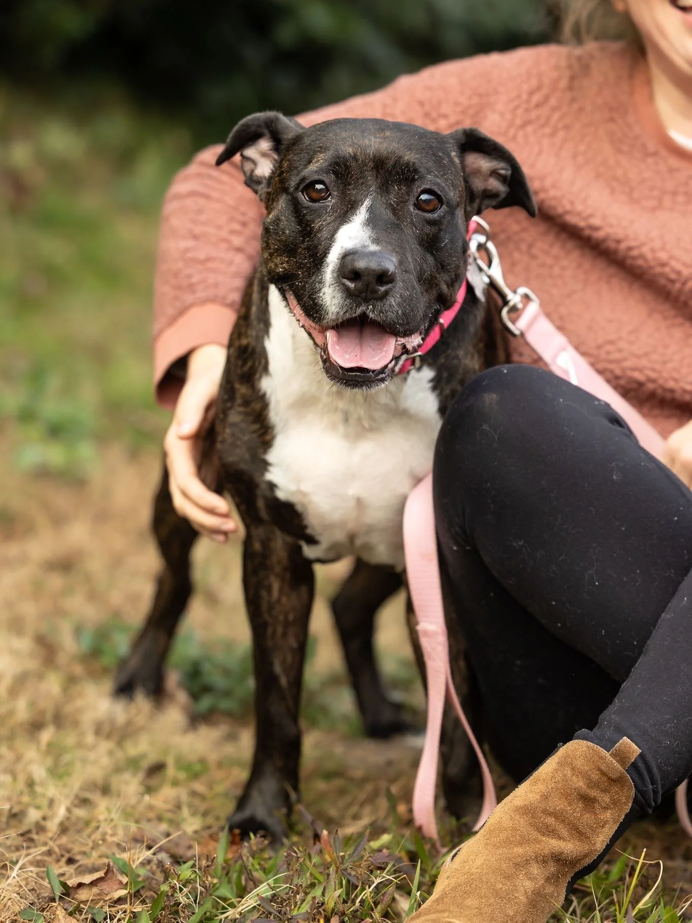Our 3rd Annual Calendar Launch Party + Gallery Exhibit Reveal is tomorrow benefitting @secondchancencpets ! 👀 

When you attend, buy raffle tickets, or buy a calendar - all proceeds go back to benefit all of the pups available for adoption that you 