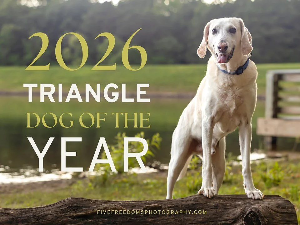 ✨ SAY HELLO&hellip; ✨ 

To the 2026 Triangle Dogs Of The Year! 

Each one of these beautiful pups has a special story and many of them are @secondchancencpets alums. 🥹 

You can now order the calendar online with $14 from each going back to support 