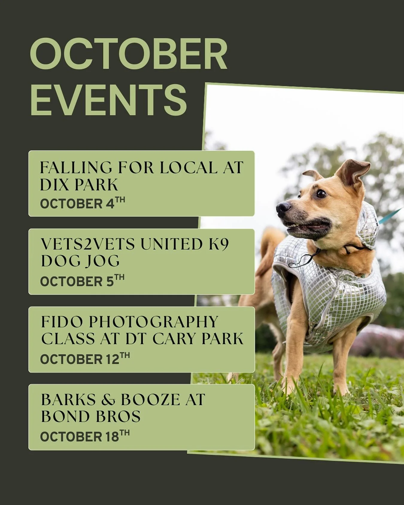 October is literally one of my favorite months of the year for events, cooler weather, and so many fun Autumnal things! 🍂 

For the first time, we will be joining @shoplocalraleigh at Falling For Local (with a fun giveaway) and teaching a Fido Photo