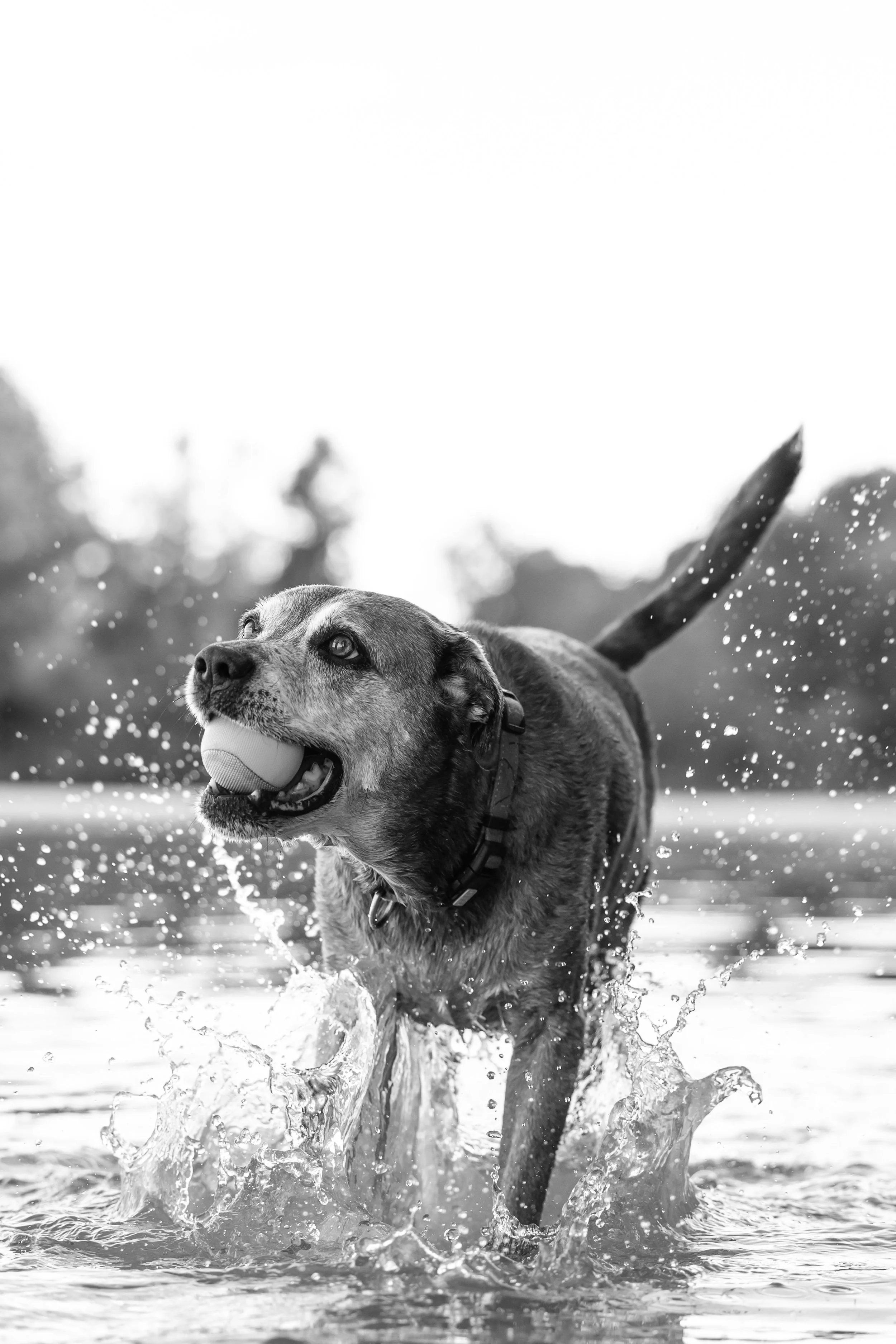 SPLASH! Sessions at Jordan Lake Recap