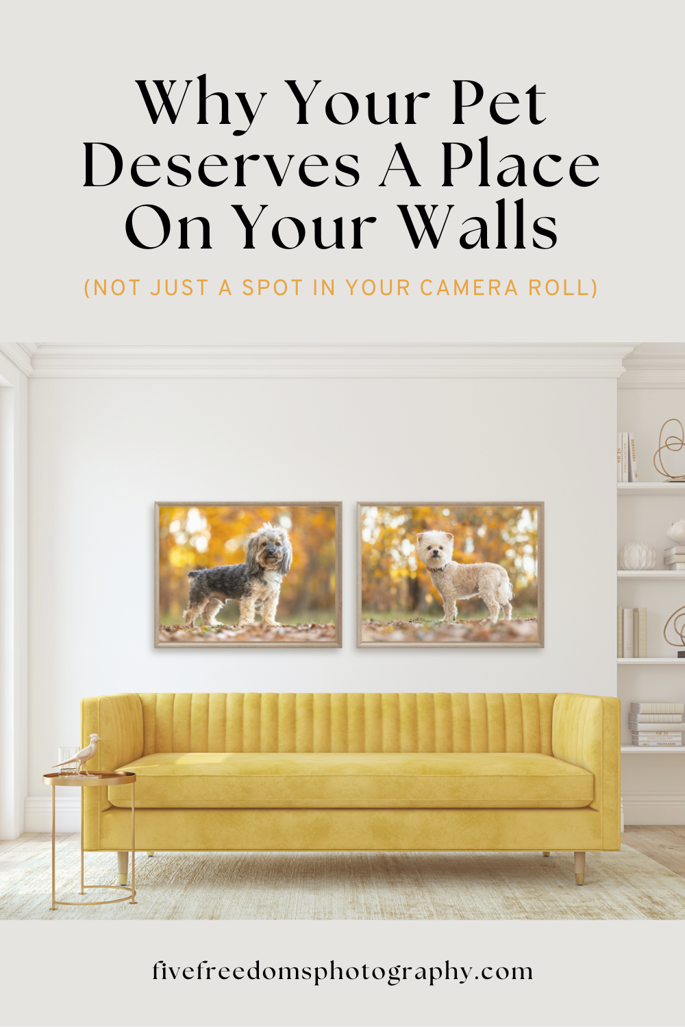 Why Your Pet Deserves A Place On Your Walls, Not Just In Your Camera Roll