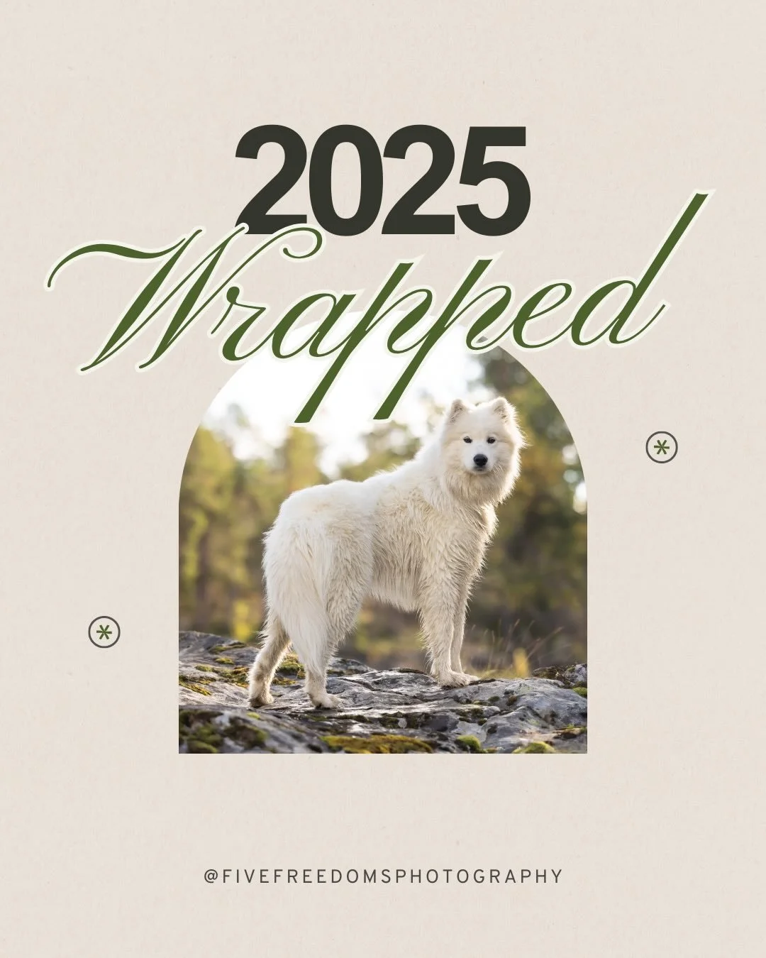 It really is so fun to look back on a single year and see all that&rsquo;s happened! 💥 

Cheers to 2026 and all that&rsquo;s in store. See you guys next year! ✌🏻 

#raleighpetphotographer #2025wrapped #newyearseve2025