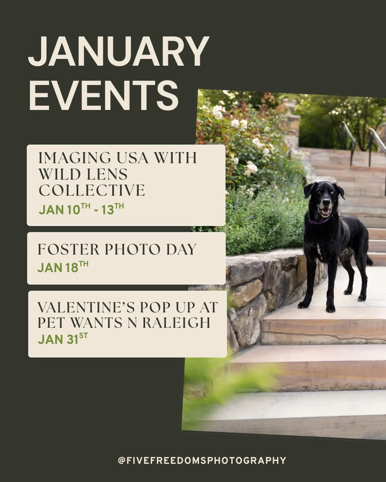 New year, new (and same old) events! 📅 

#raleighevents #raleighnc #raleighphotographers