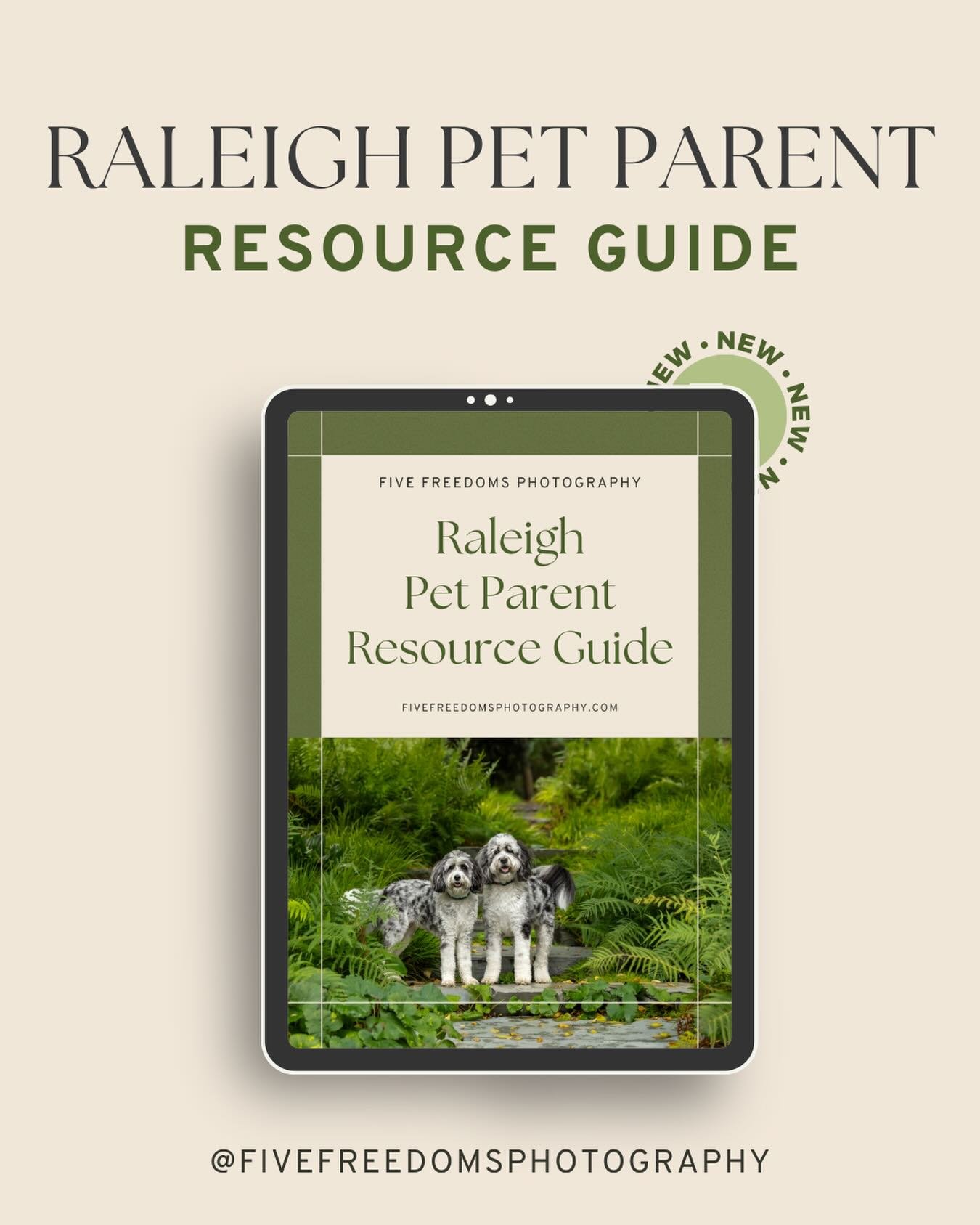 🐾 Triangle Pet Parents&mdash;This One&rsquo;s for You!

After years of photographing dogs across the Triangle (and chatting with so many of you during the process), I kept getting a lot of the same questions over and over:
&ldquo;Who do you recommen