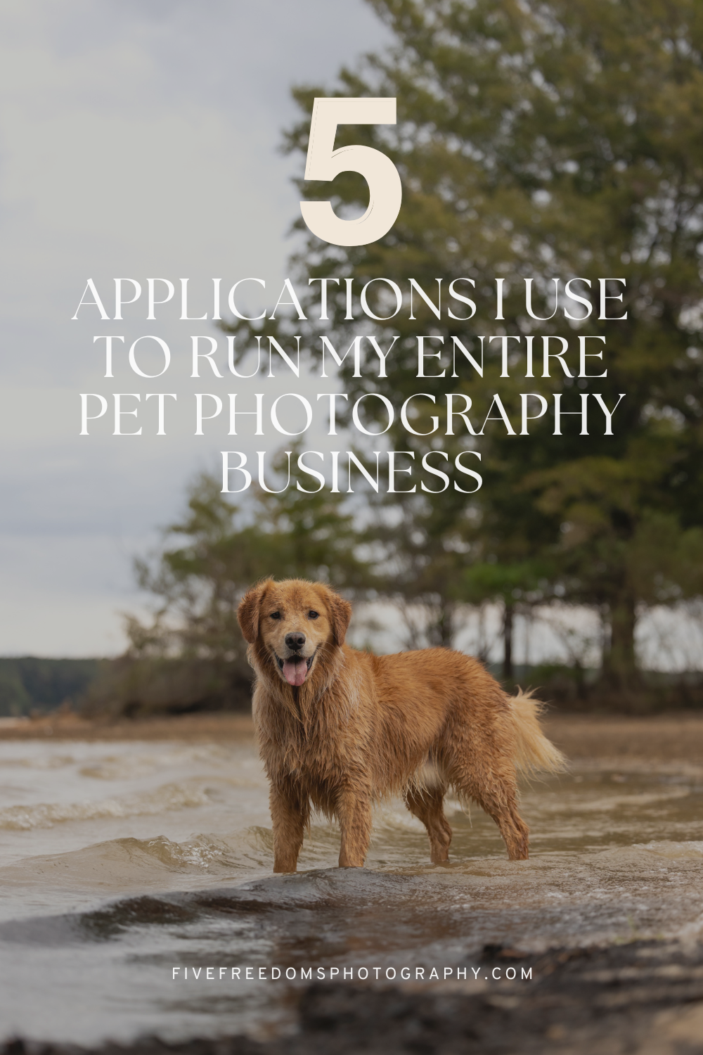 Five (Awesome) Applications I Use To Run My Entire Pet Photography Business 