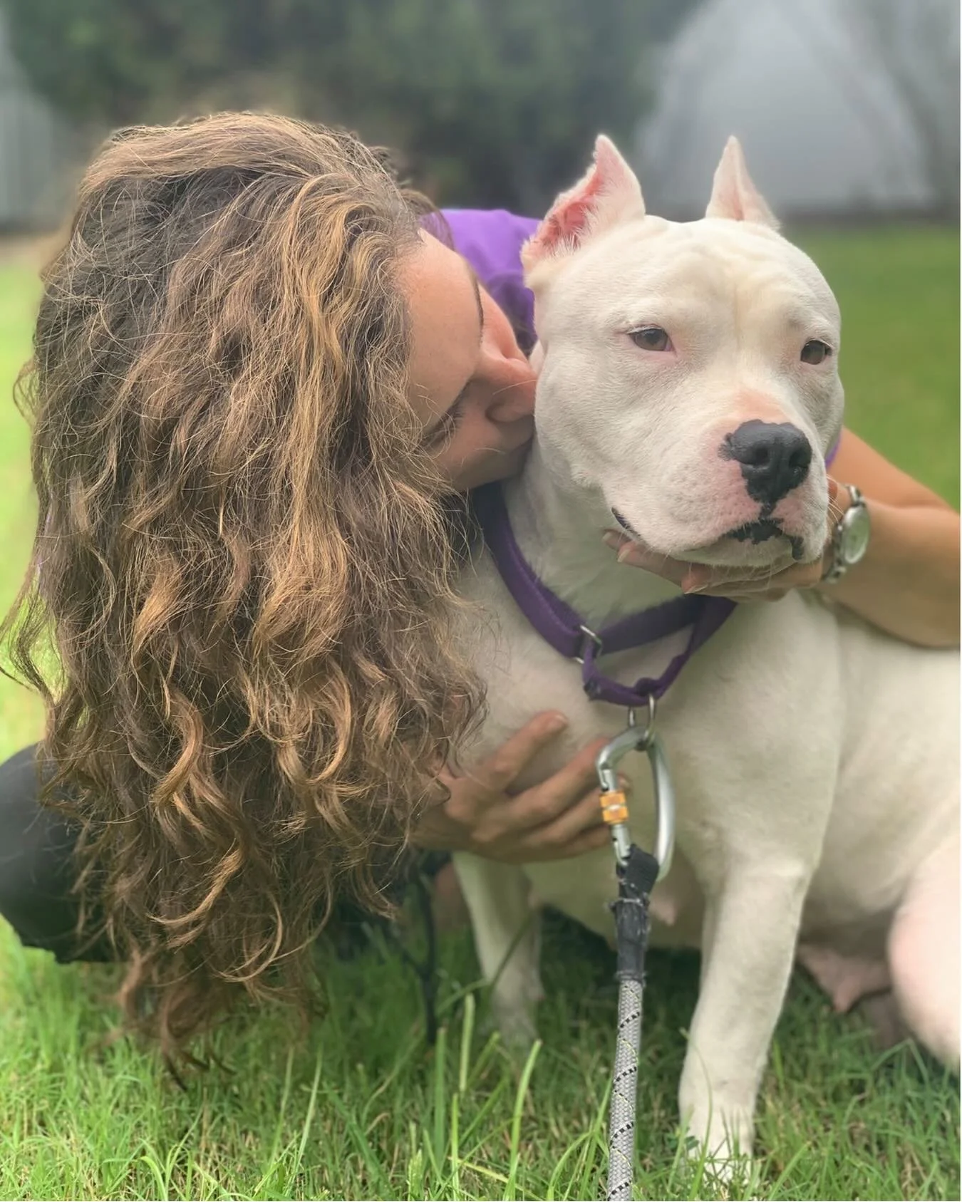 I know there&rsquo;s a lot happening in the world right now and things are incredibly heavy. 

Since 2019, we&rsquo;ve always kept two simple goals at the center of what we do:

1. To inject a little joy into the world with photos of cute dogs &mdash