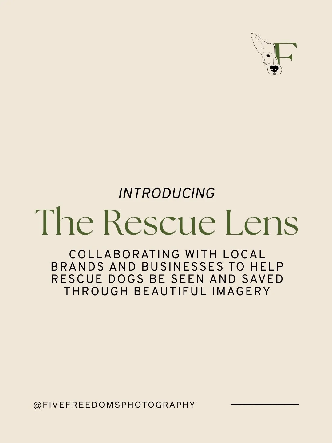 Cue the confetti! 🎉 The Rescue Lens has made its debut! 🐾

We believe a single photo can change a dog&rsquo;s future. 

Now, local businesses, brands, and individuals can help us make a greater impact creating life-saving images for shelter and fos