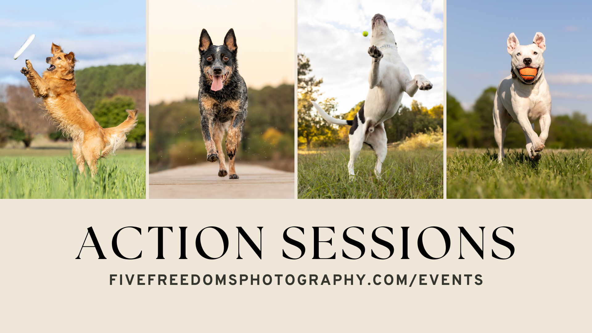 Limited Edition Action Sessions