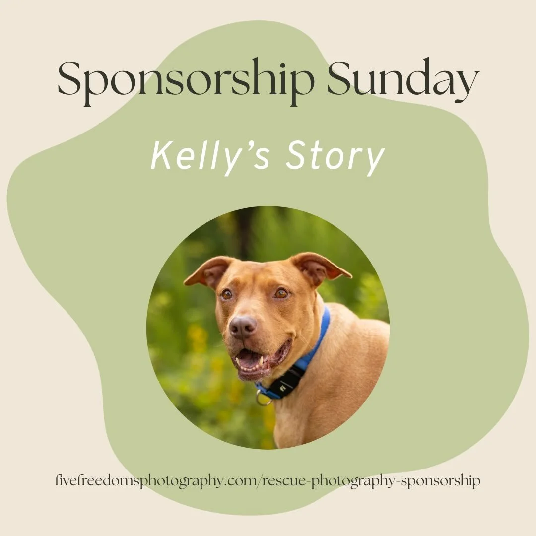 This is the kind of Happy Tails story we love to hear! Thank you, @rogersfamilytails , for leaving us this incredible foster testimonial.
💕

While we don&rsquo;t always get adoption updates, when we do, it&rsquo;s the most heartwarming to hear that 