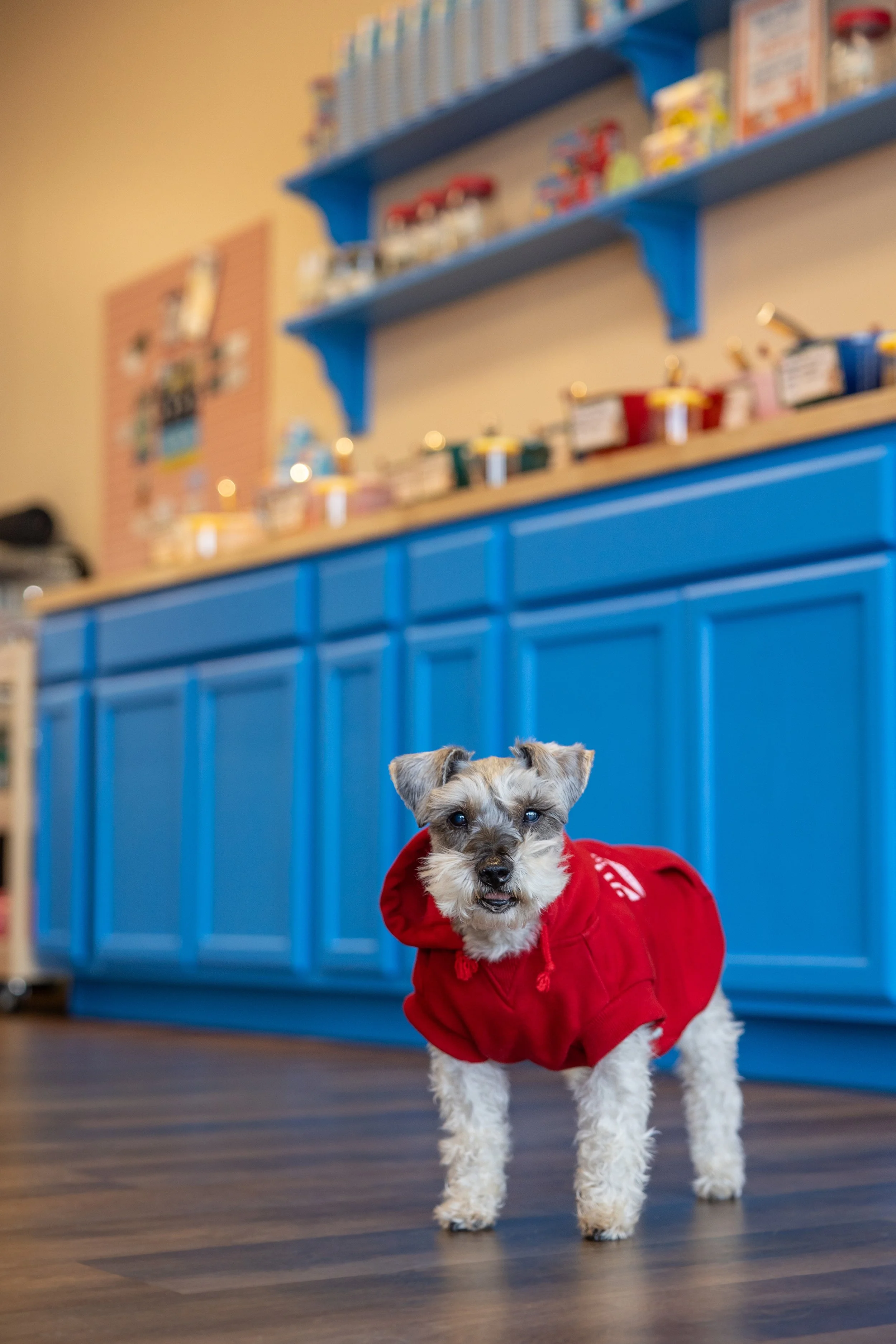 Business Spotlight: WoofPak NC