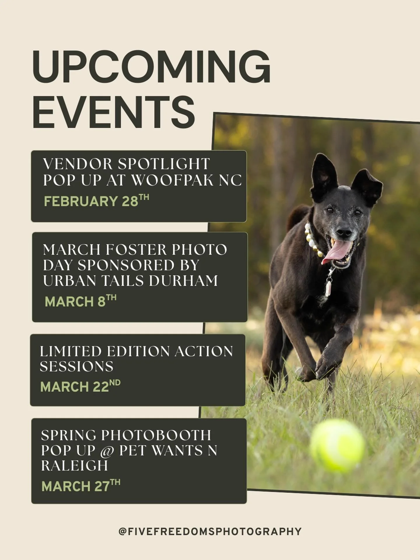 Upcoming Events ✨ 

#raleighpetphotographer #raleighphotographers #raleigh 

Pet Photography Raleigh Durham | Pet + People Photography in Raleigh | North Carolina Pet Photographer
