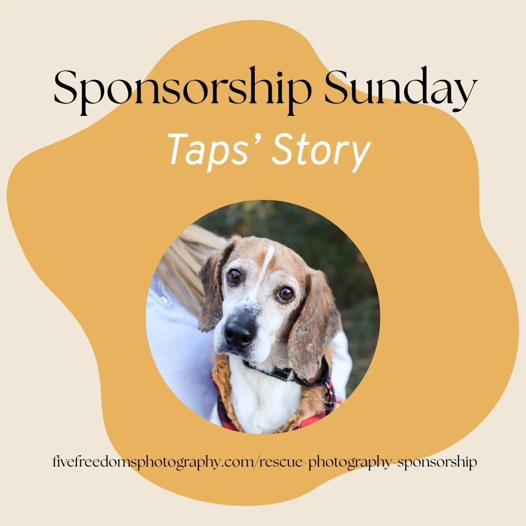 We are so grateful to all of our incredible 2026 Rescue Lens Sponsors so far! That means you:

@dogslikeash 
@etherealtattoogallery 
@urbantailsdurham 
@puppastry.co 
@humbletreeraleigh 

As of right now, we have FOUR sponsorship opportunities left a