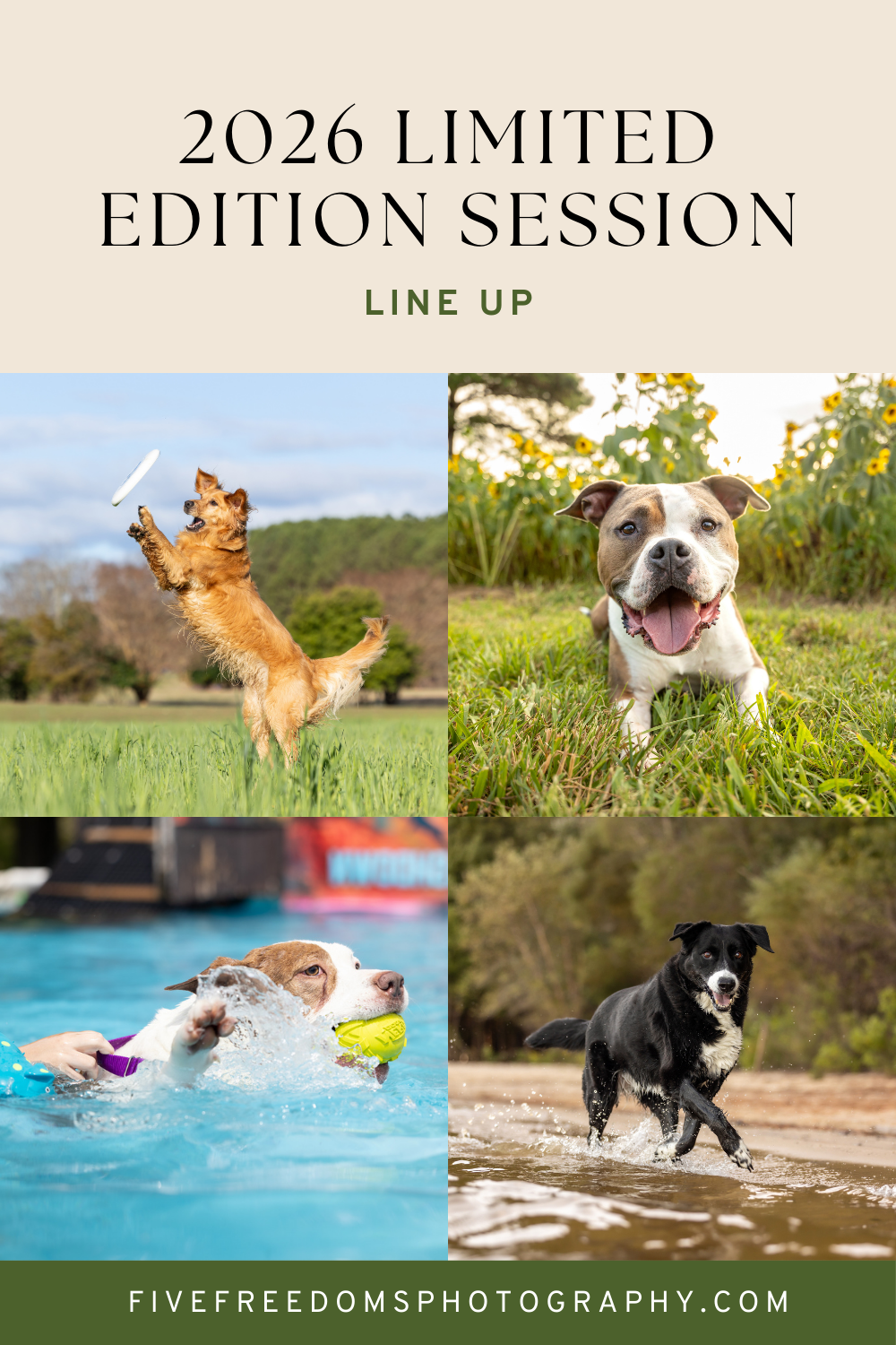 2026 Limited Edition Session Line Up