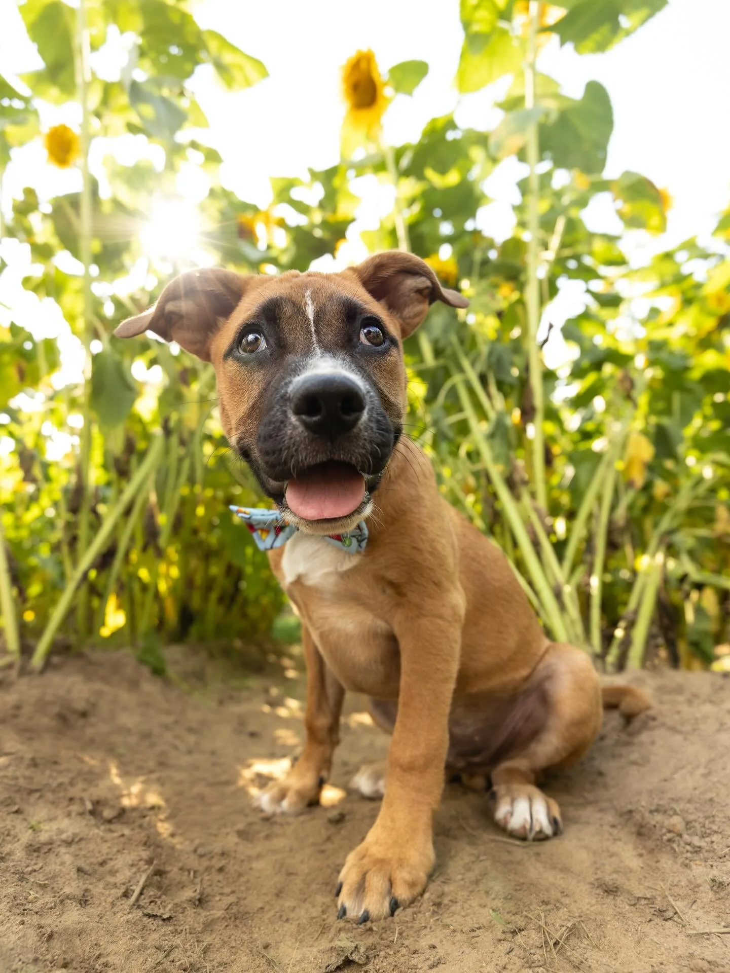 Did you see our 2026 Limited Edition Session Line Up? 👀👀👀

Every year we host a series of extremely Limited Edition sessions &mdash; and they always sell out!

These sessions are typically:
⏰ Shorter than our full portrait experiences
📅 Offered o