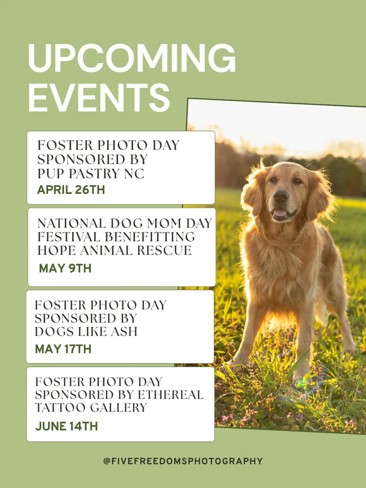 We are keepin&rsquo; it a bit more chill this Spring with events! All links to register are at our link in bio 😉 

🐕 Remy // @roodogtraining 
📍 #dixpark // @dixpark 

#raleighphotographers #petphotographer #trianglecanineclub
