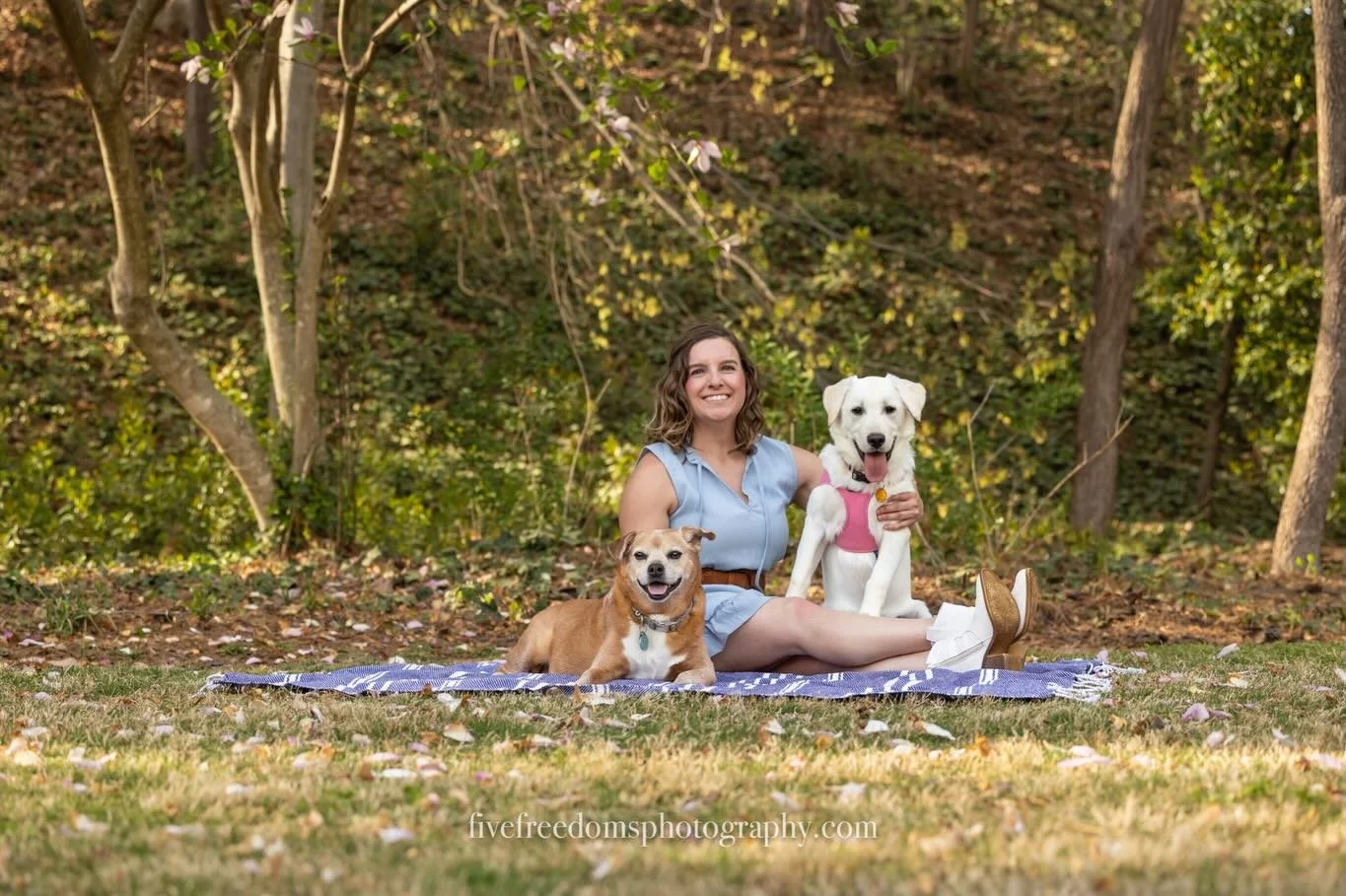 🌸 Ryder + Mabel 🌸

There is nothing quite like photographing your senior pup with your newest addition to the pack. In Ryder and Mabel&rsquo;s case, he&rsquo;s teaching her the ropes like the incredible big brother he is (including how to pose for 