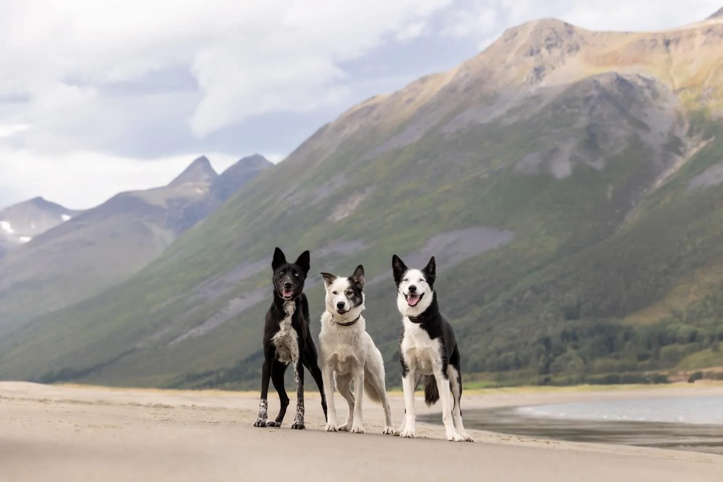 I often hear people say &ldquo;Wait&hellip; how did I miss that?!&rdquo; 😩 

It&rsquo;s because you aren&rsquo;t a part of our email community! 👀

My Email Insiders always hear things first&hellip; before social and before anyone else! 🔥 

💌 Earl