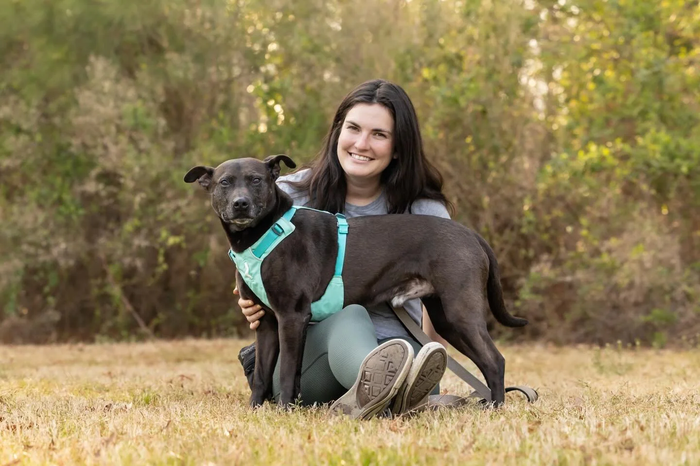 &ldquo;Who do you recommend for training?&rdquo; 🤔 

We get this question ALL the time.

Some clients want to build a stronger bond with their dog, while others are working through things like reactivity, resource guarding, fear, anxiety, or need he