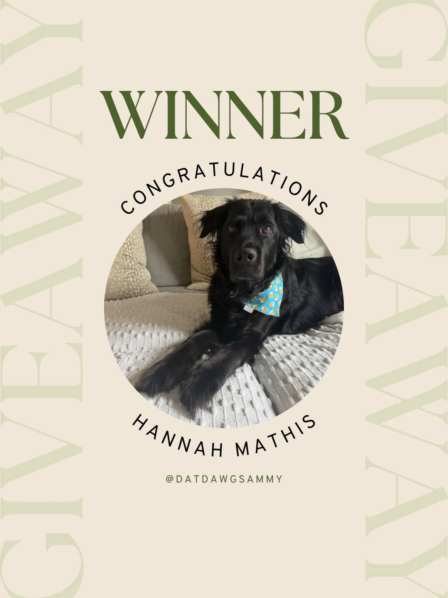 And the winner is&hellip; 👀 

Hannah and her dog, Sammy! 🥳 

Thank you so very much to every single Dog Mom that took the time to share the love and story of your pups. 

It is always so meaningful to me to hear what your dogs mean to you and how t