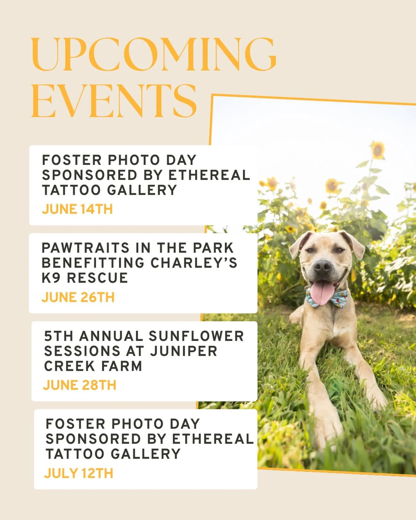 Upcoming Events 🌻 

Have an event you&rsquo;re interested in? You can find all of our Event information and booking links at the &ldquo;Events&rdquo; tab on our website. 😉 

Raleigh&rsquo;s Pet + People Photographer | Outdoor Natural Light Dog Phot