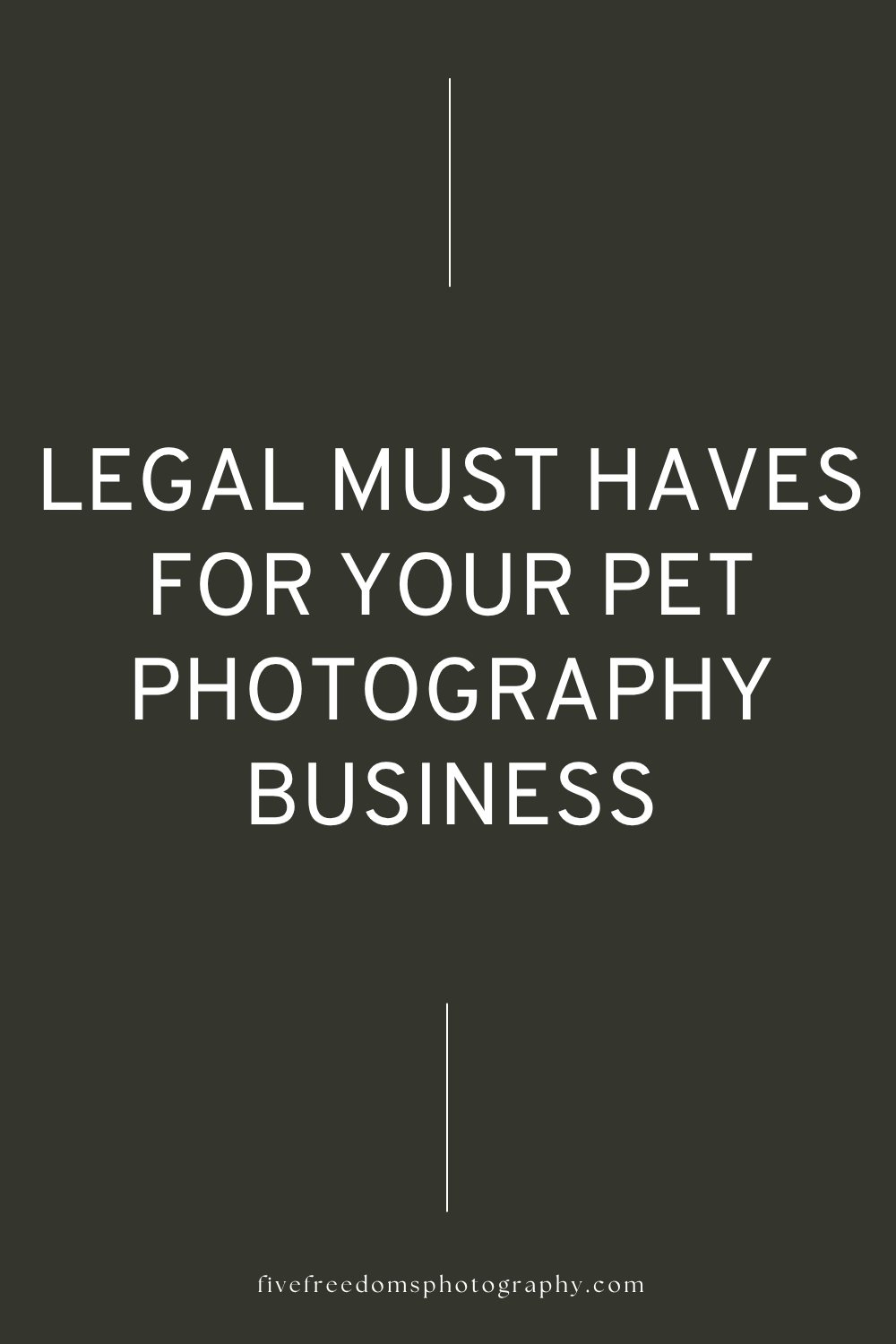 Legal Must Haves For Your Pet Photography Business 