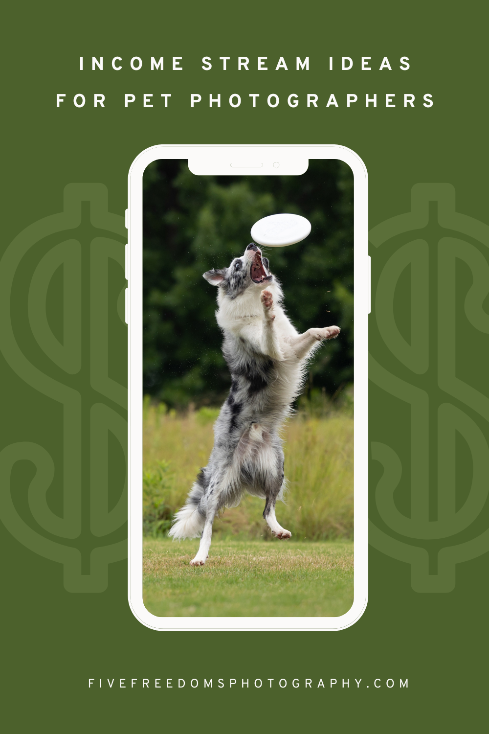 7 Income Stream Ideas For Pet Photographers 
