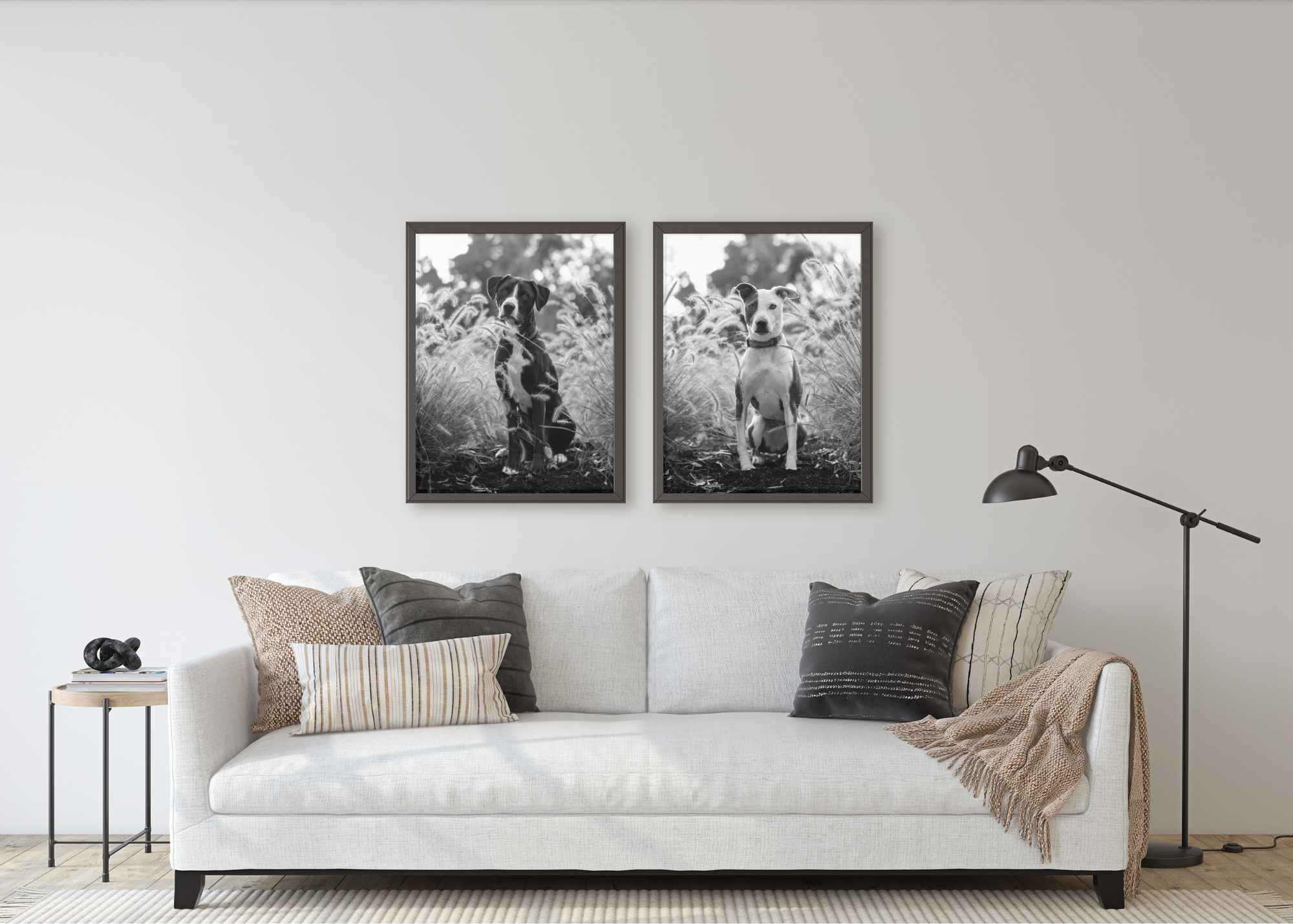 raleigh-pet-photographer-pet-photography-in-raleigh-durham-cary-chapel-hill (1).png