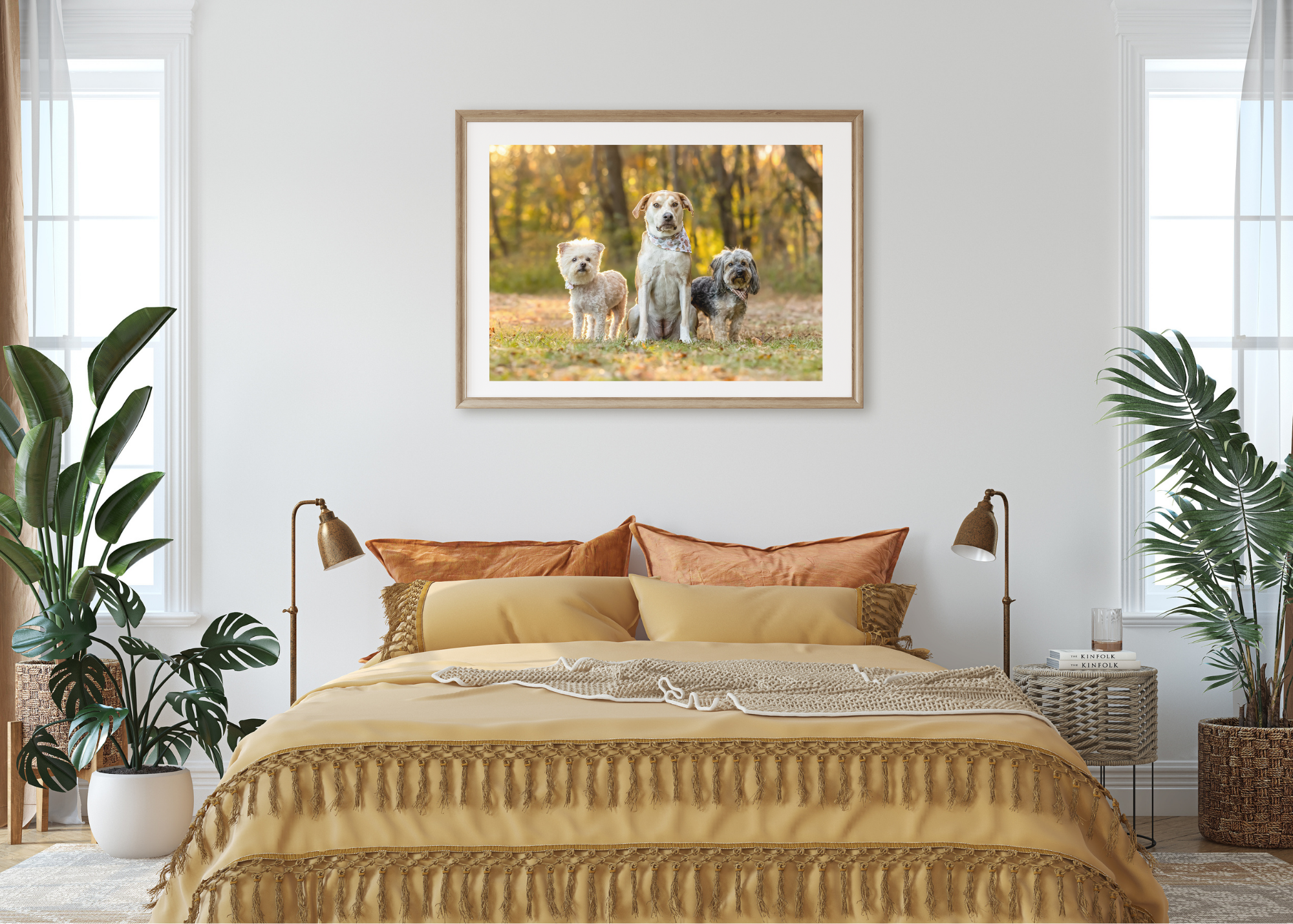 raleigh-pet-photographer-pet-photography-in-raleigh-durham-cary-chapel-hill.png