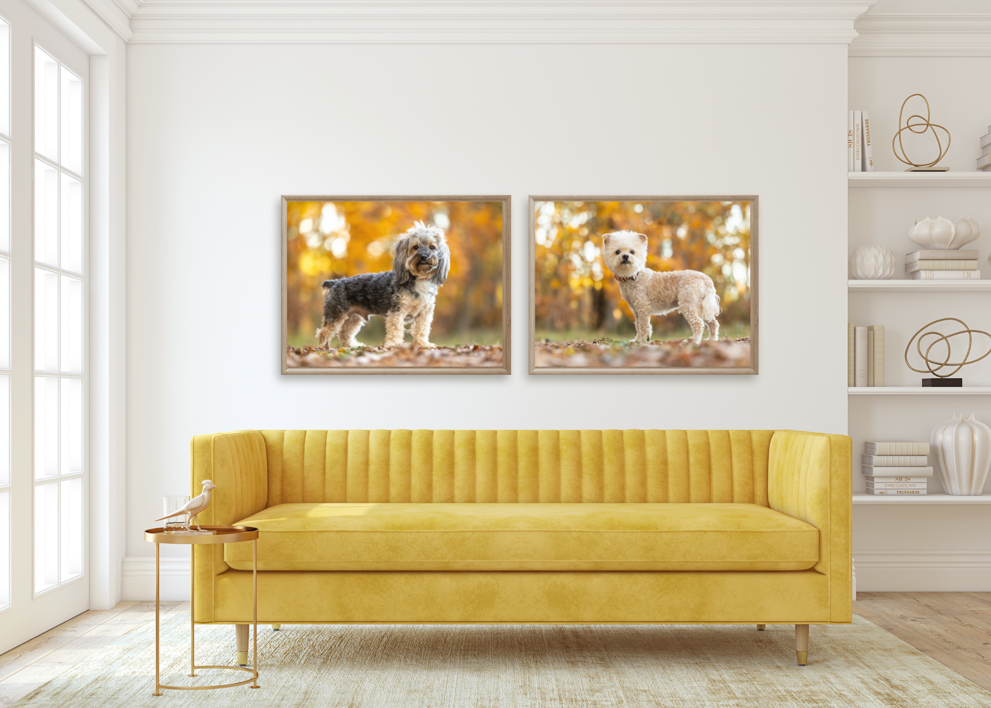 raleigh-pet-photographer-pet-photography-in-raleigh-durham-cary-chapel-hill (12).png