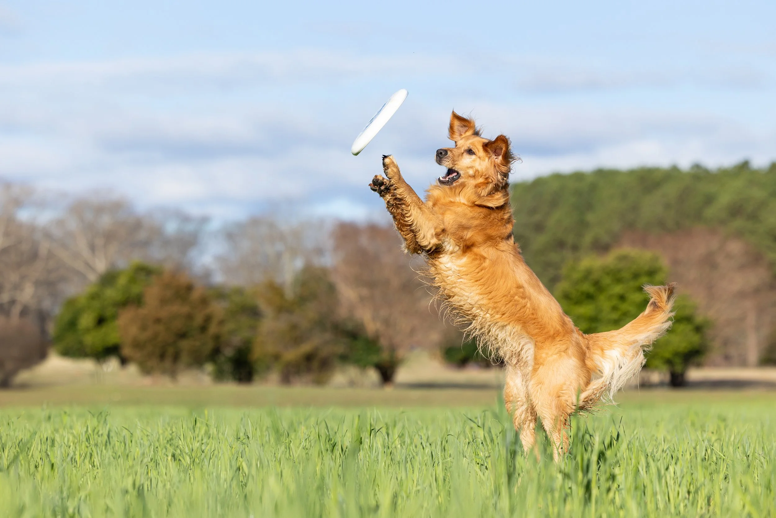 Wright Finals-110.jpg