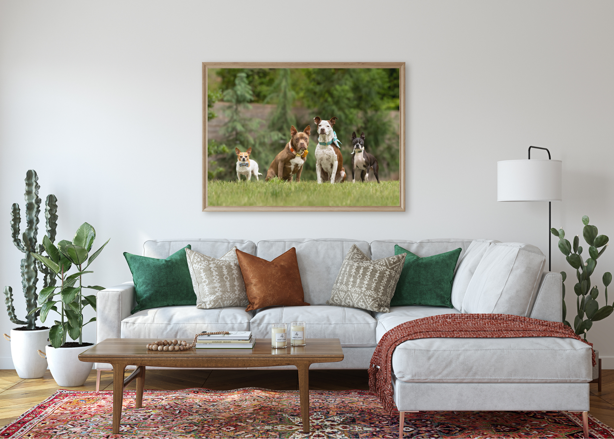 raleigh-pet-dog-photographer-durham-cary-chapel-hill.png