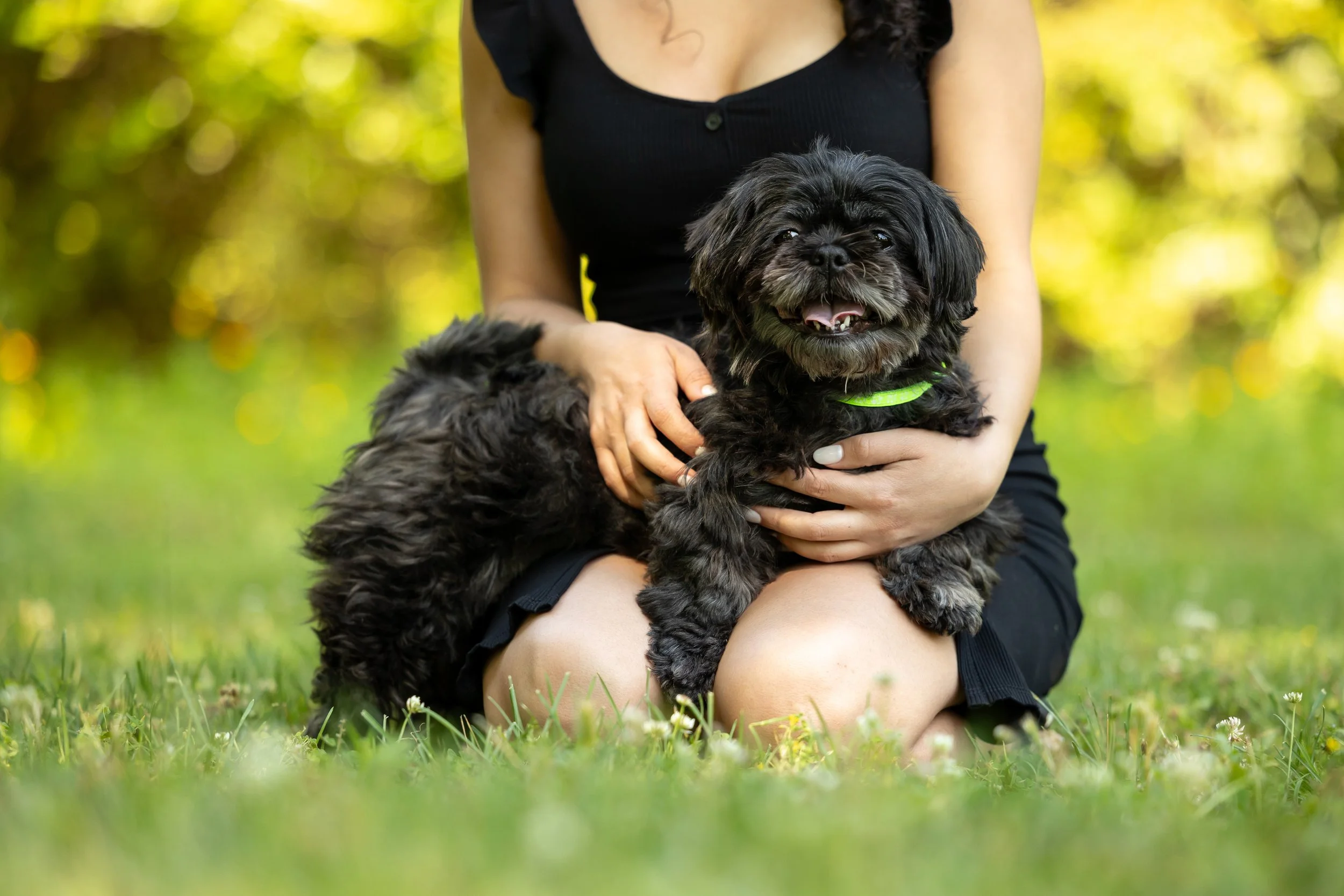 Mocha (CrisisDogs NC)-101.jpg