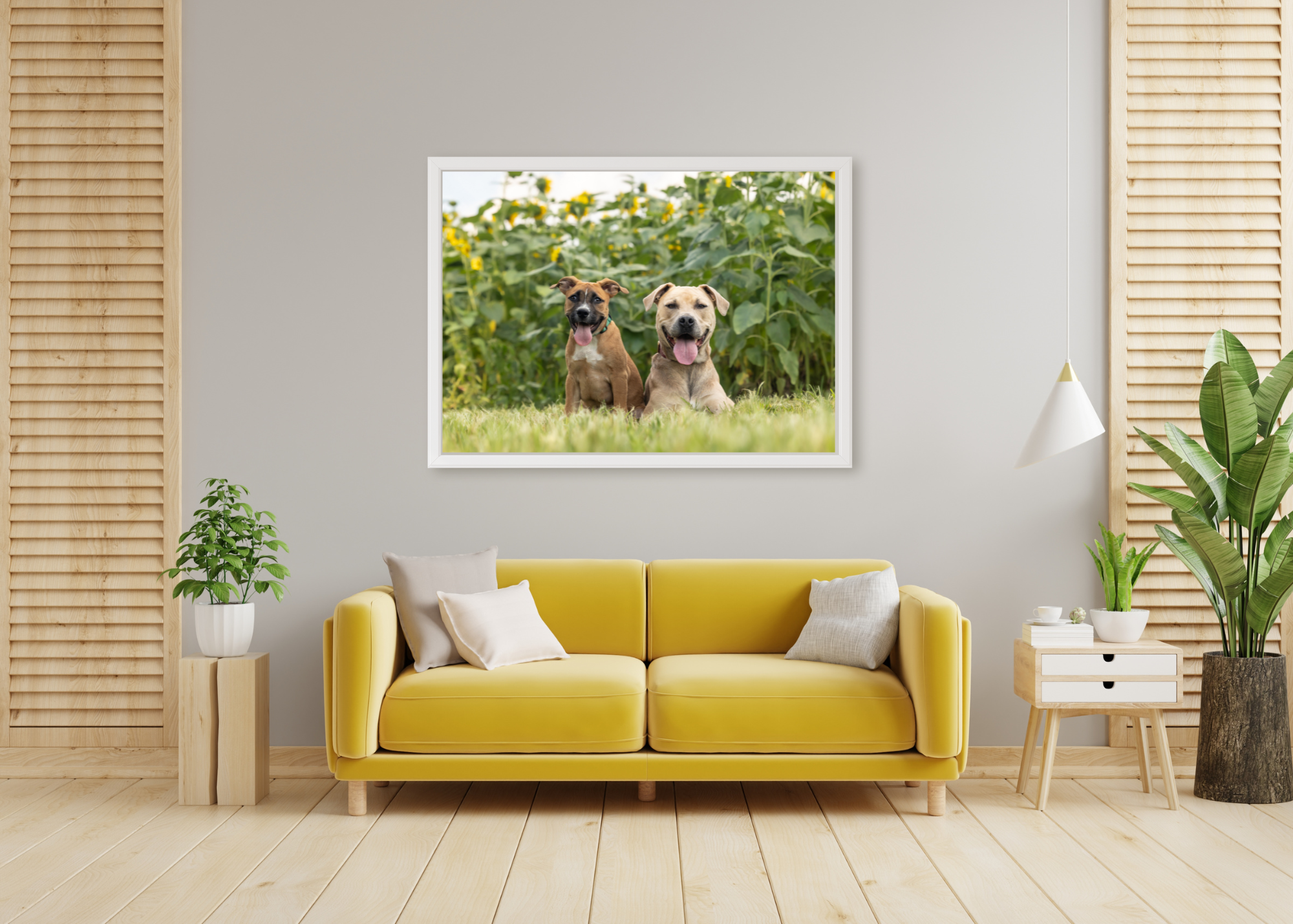 dog-puppy-pet-photos-portraits-photography-triangle-wake-county-raleigh-durham-nc.png