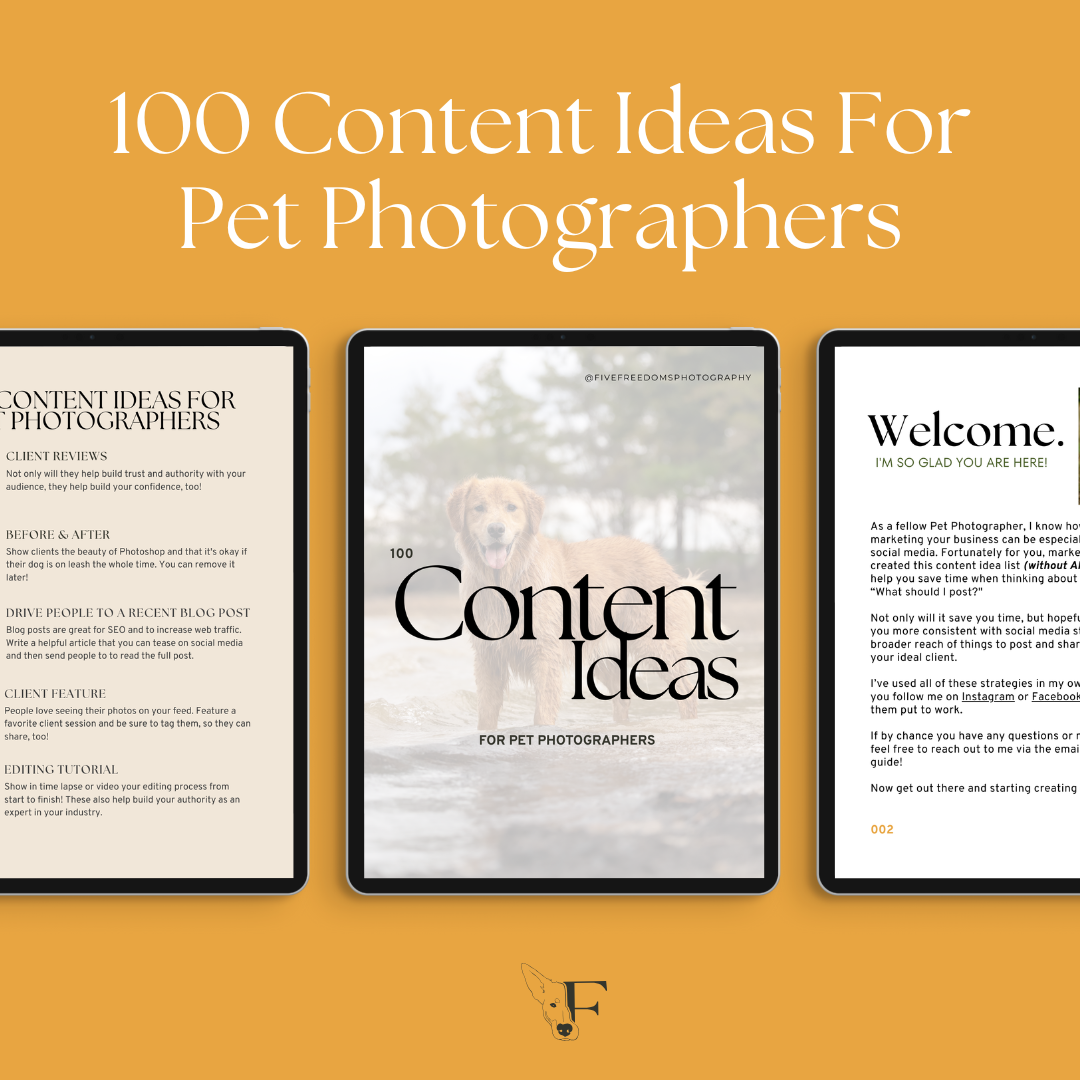 content-and-social-media-strategy-ideas-for-pet-photographers.png